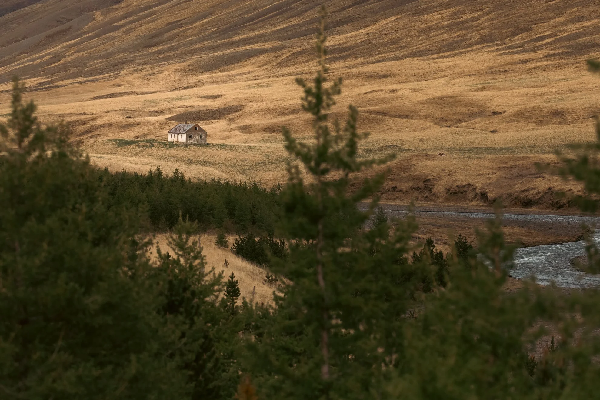 2026 Iceland -104.jpg