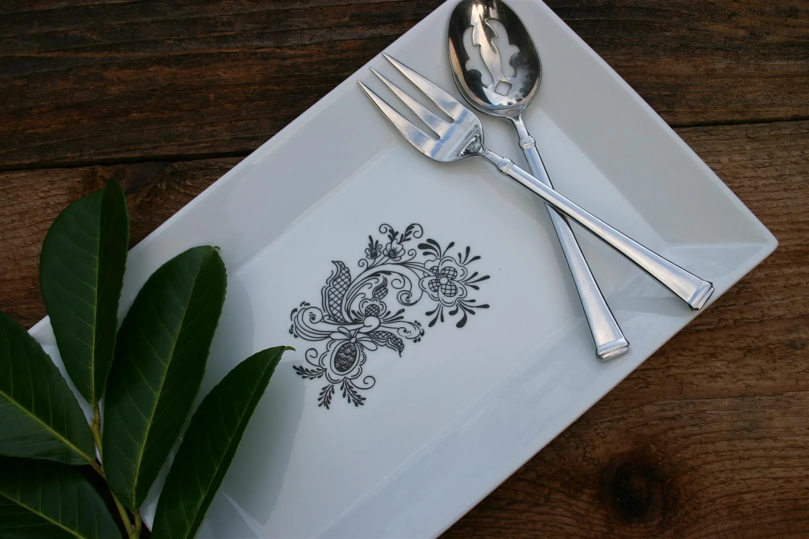 IMG_8231 (Large).JPG