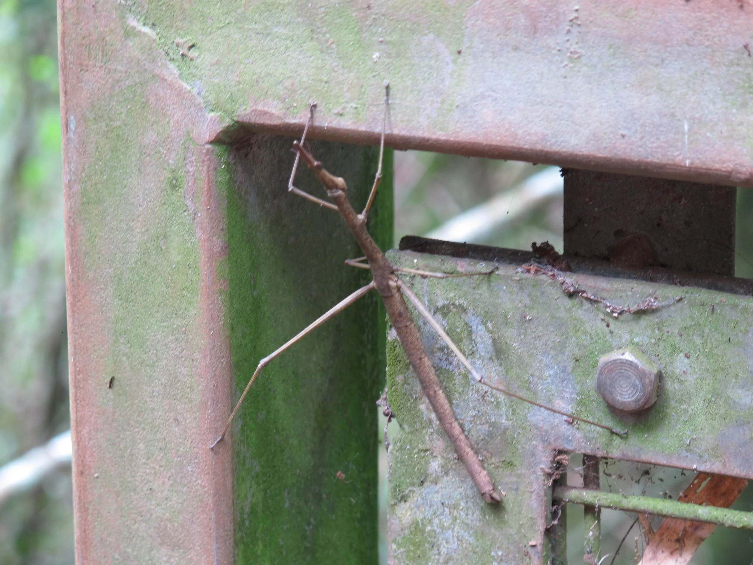 Your powers are no good here