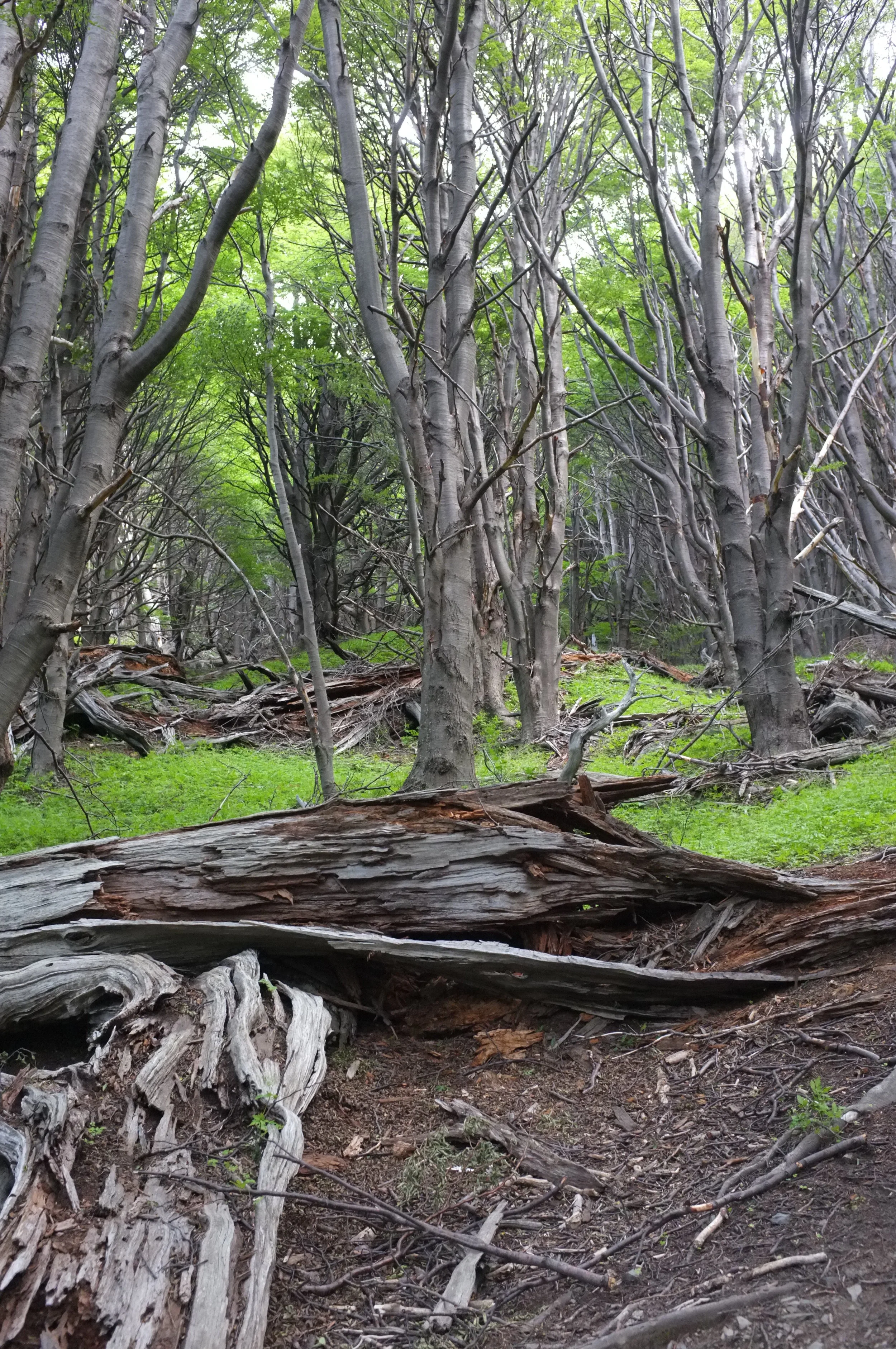 DSCF0693.JPG