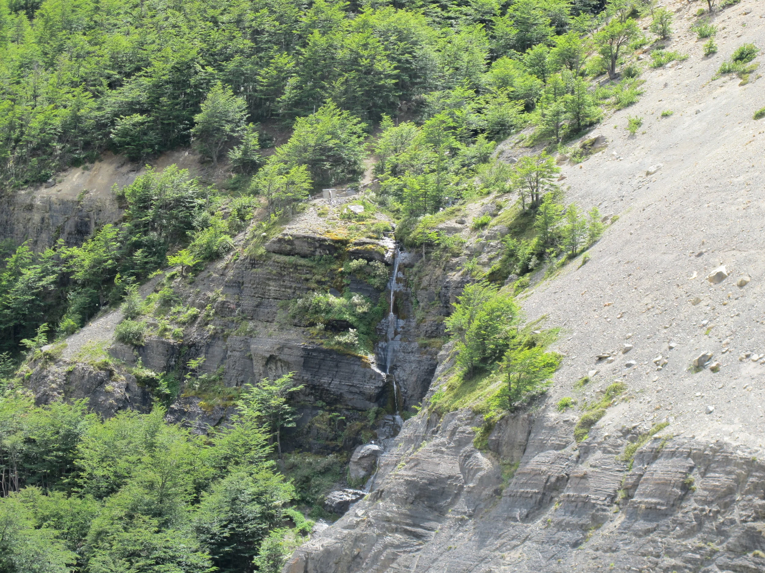 IMG_3453.JPG