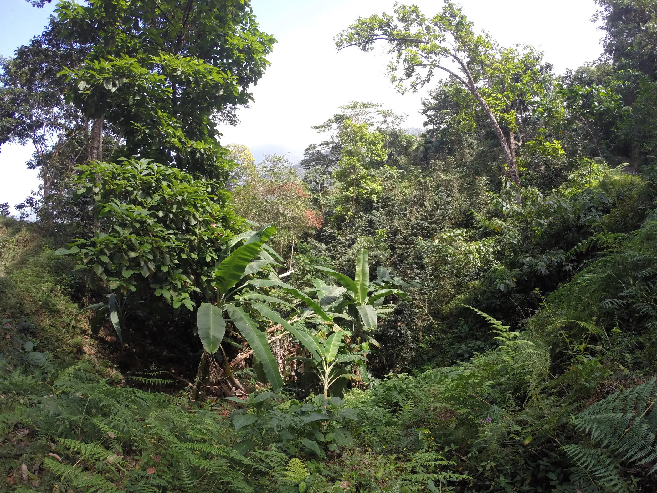 GOPR6439.JPG