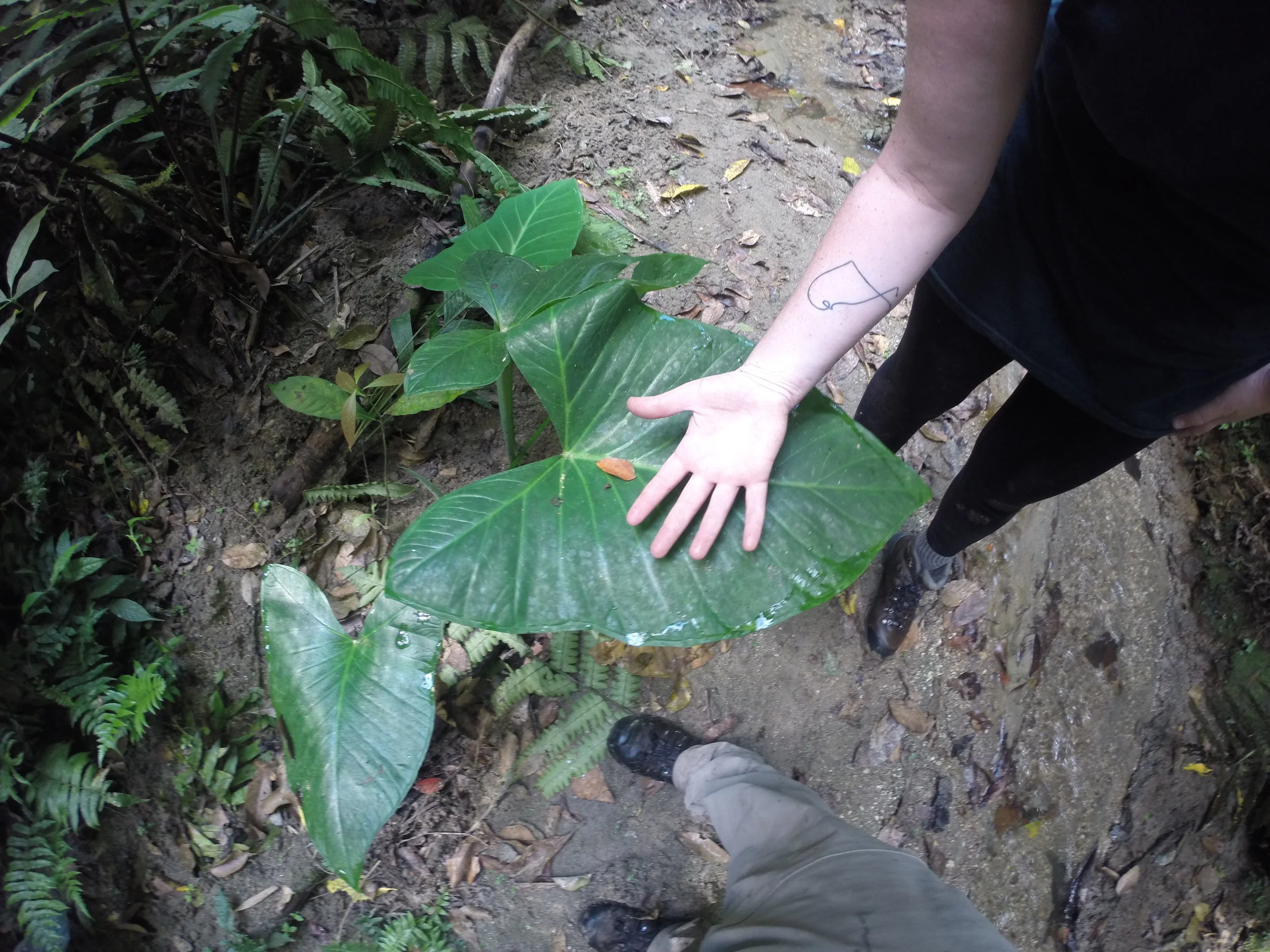 GOPR6495.JPG