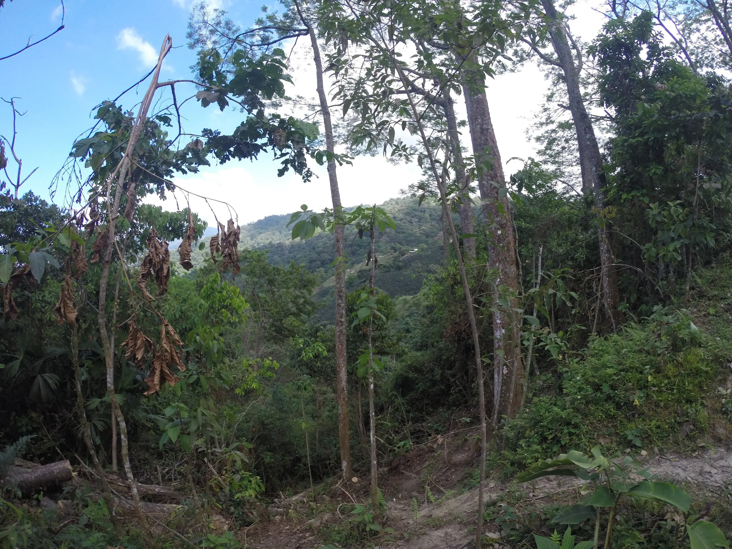 GOPR6501.JPG