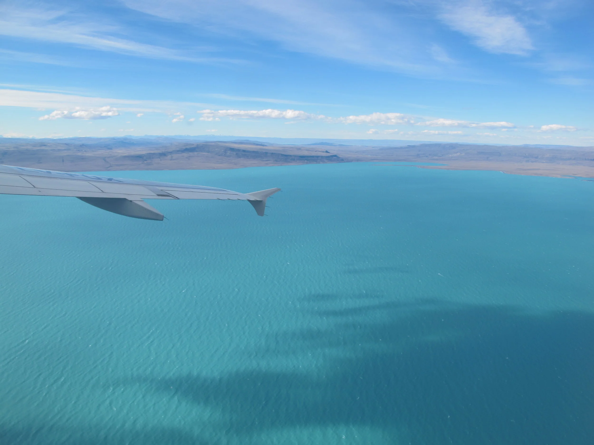 Calafate-IMG_4363.JPG
