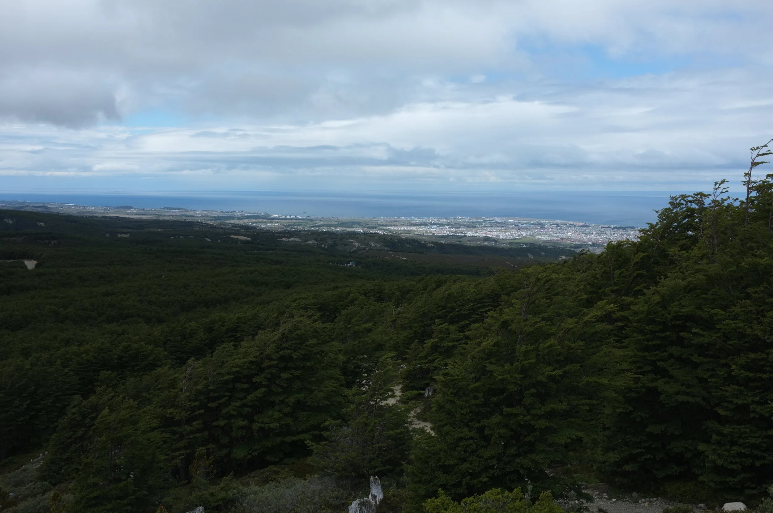 ReservaMagallanes-DSCF0599.JPG