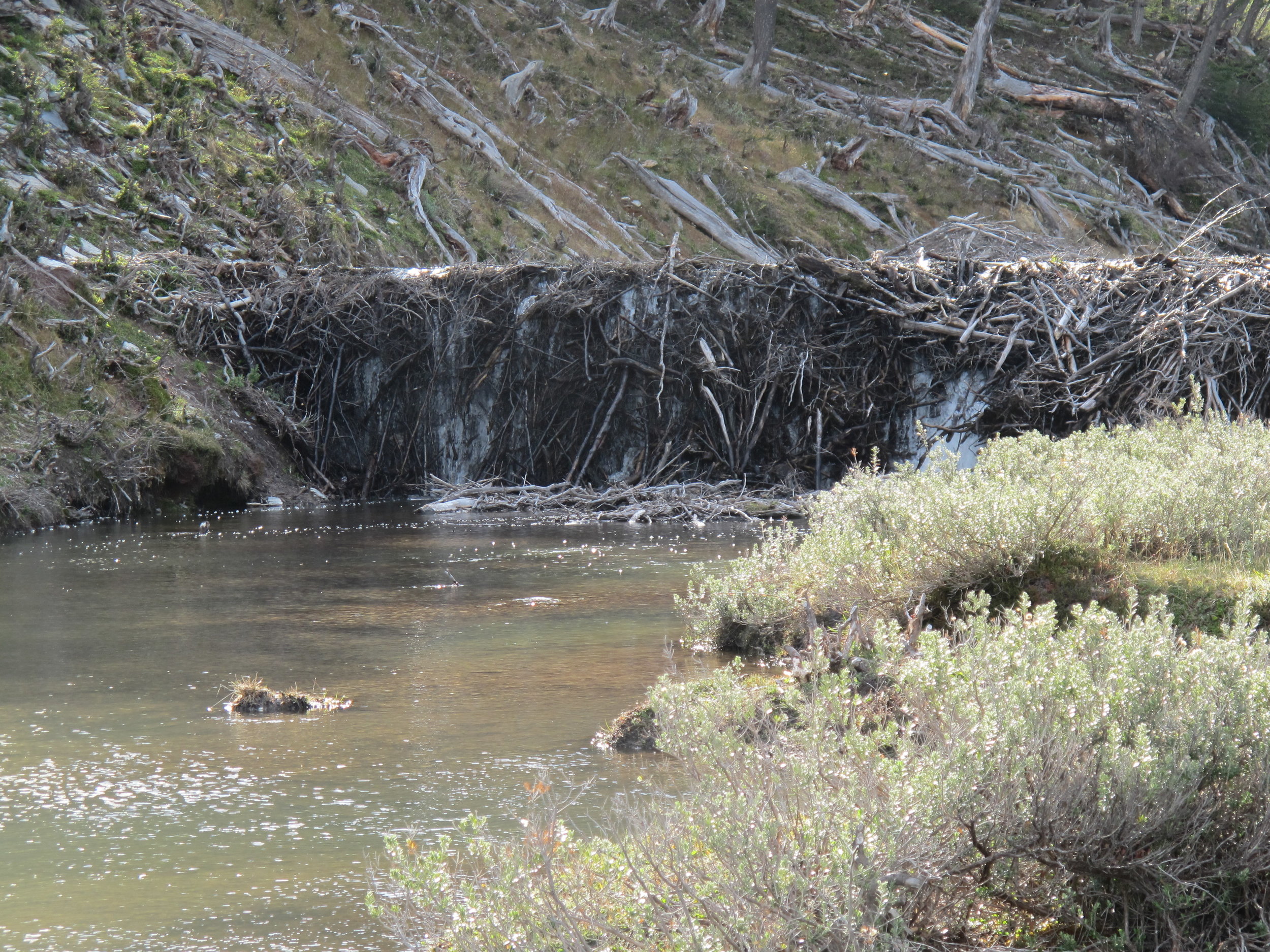 LagunaEsmeralda-IMG_3234.JPG