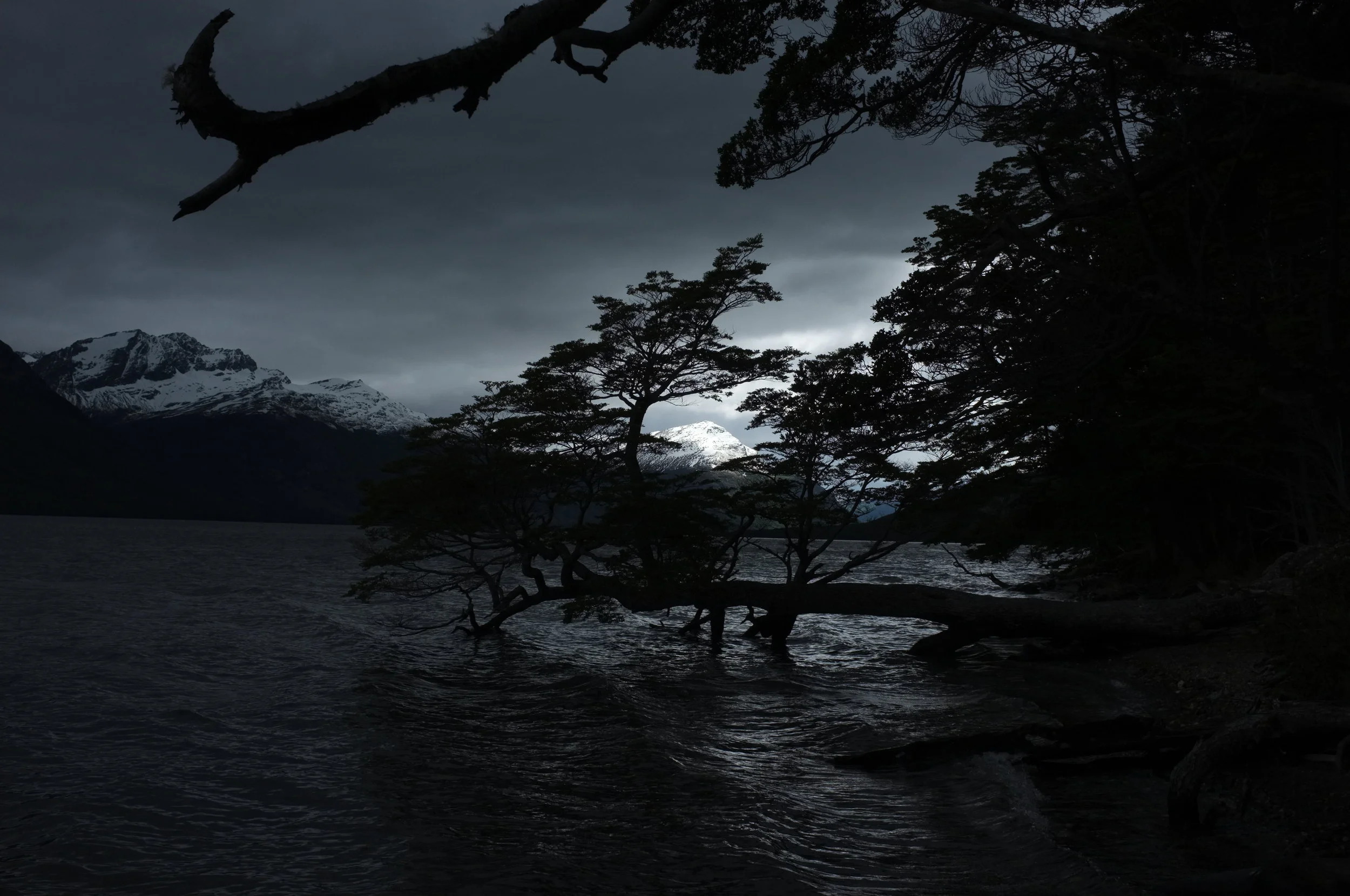 TierraDelFuego-DSCF0500.JPG