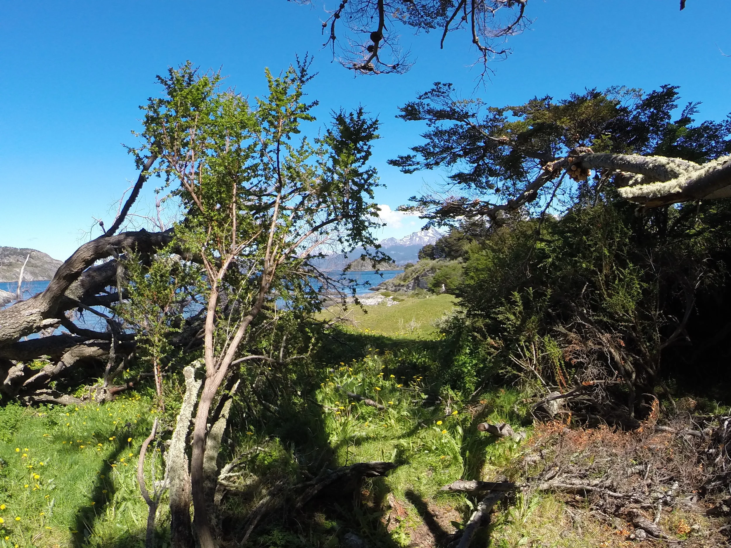 TierraDelFuego-GOPR1702.JPG