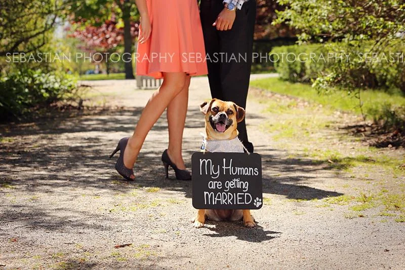 Sebastian_Photography_Engagement_Harkness_02.jpg