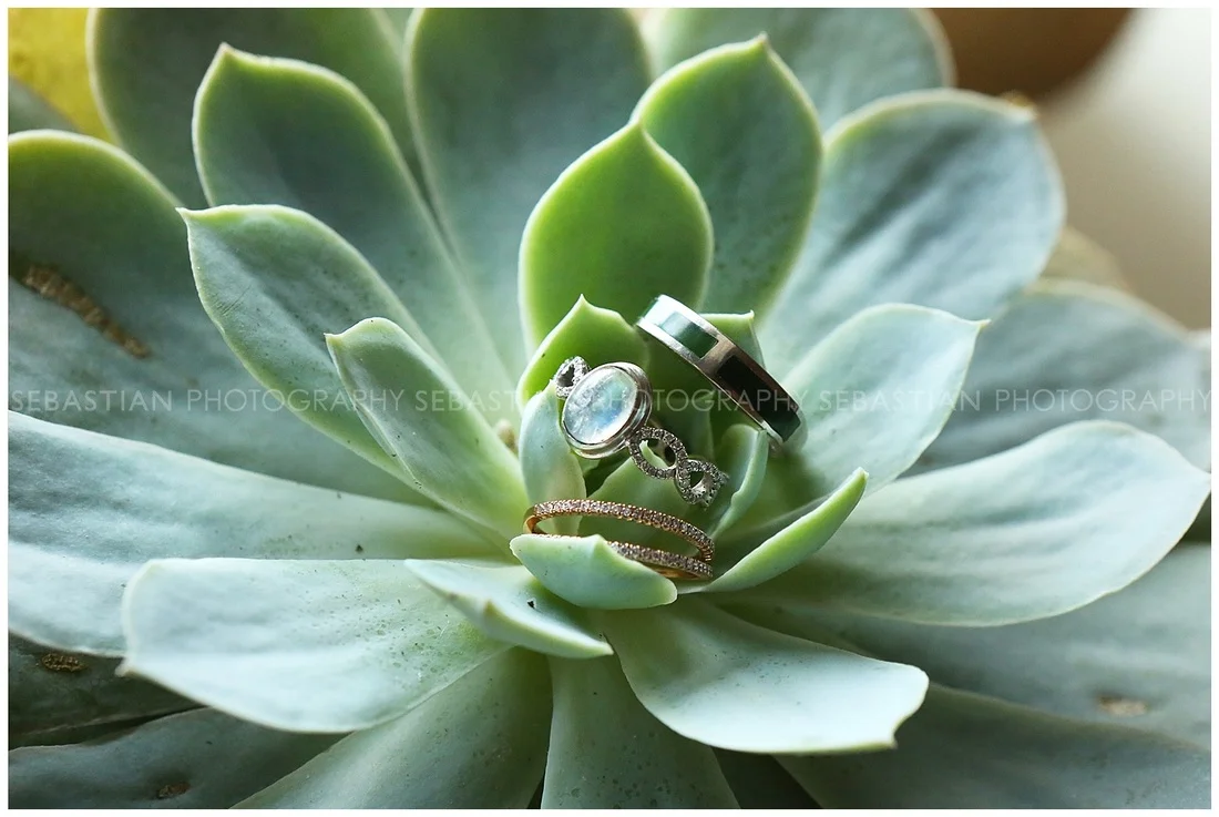 Sebastian_Photography_Wedding_WrightsMillFarm_27.jpg