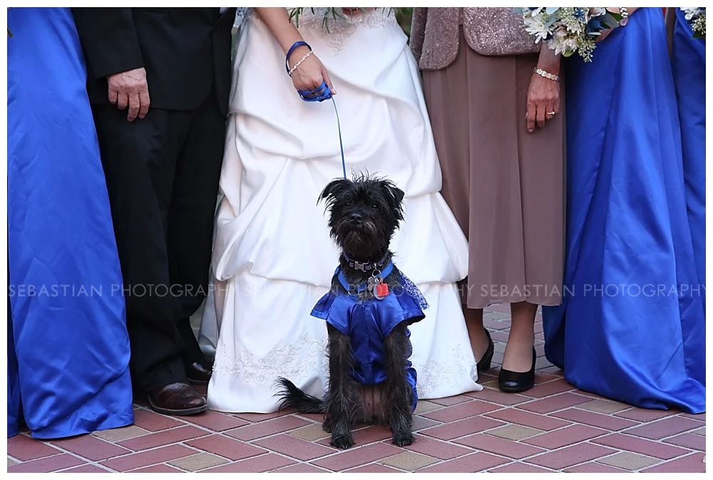 Sebastian_Photography_Wedding_StClements_CT06.jpg