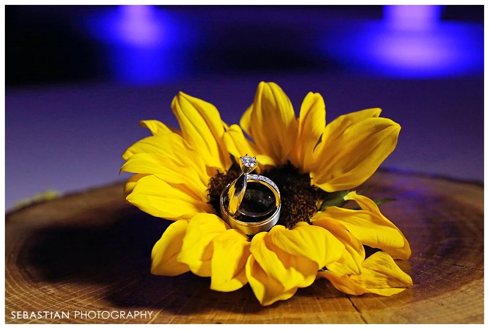 Sebastian_Photography_Studio_Wedding_Clontz_LakeOfIsles_30.jpg