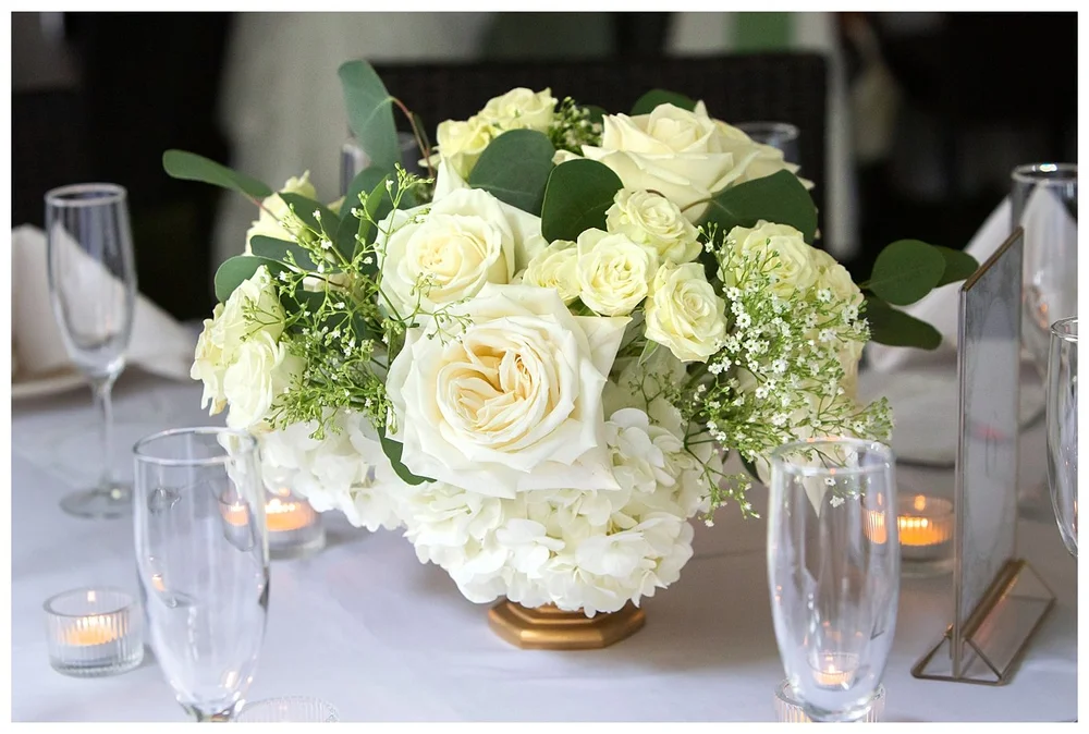 Sebastian Photography_Hernandez_Taboad_9033.jpg