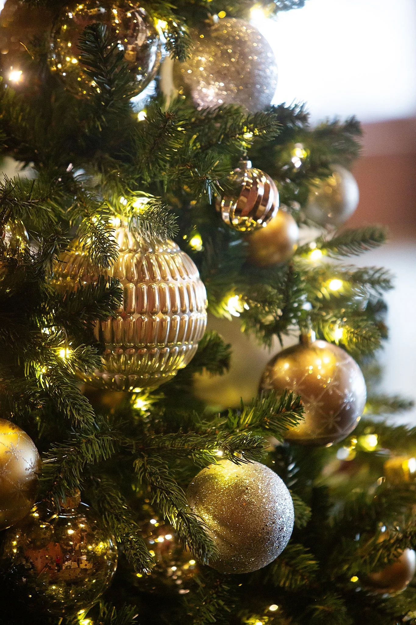 Sebastian Photography_Myers_Boehme_SP__6019.jpg