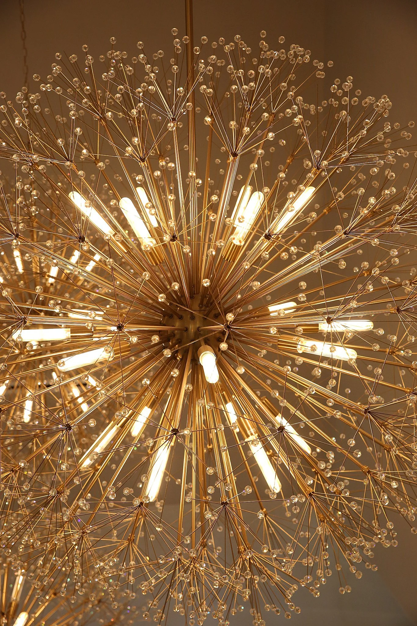 Sebastian Photography_Sullivan_Ives_SP__7003.jpg