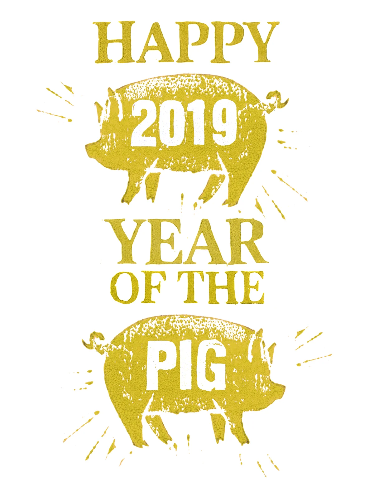 2019 year of the pig_lg.jpg