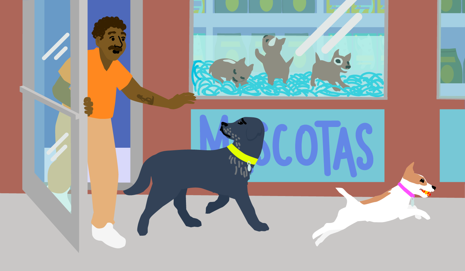  Nayla and Roco run away from the pet store after being startled by a loud sound. 