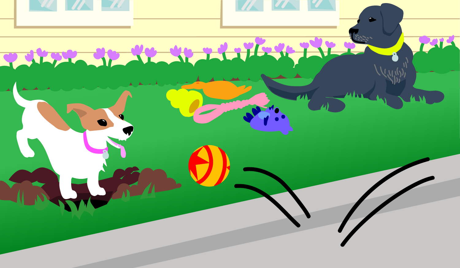  A bouncing ball lures the puppy Nayla away from her yard. Her friend Roco follows to keep her out of trouble.  