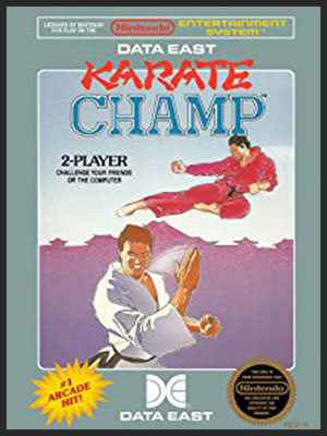 KARATE CHAMP