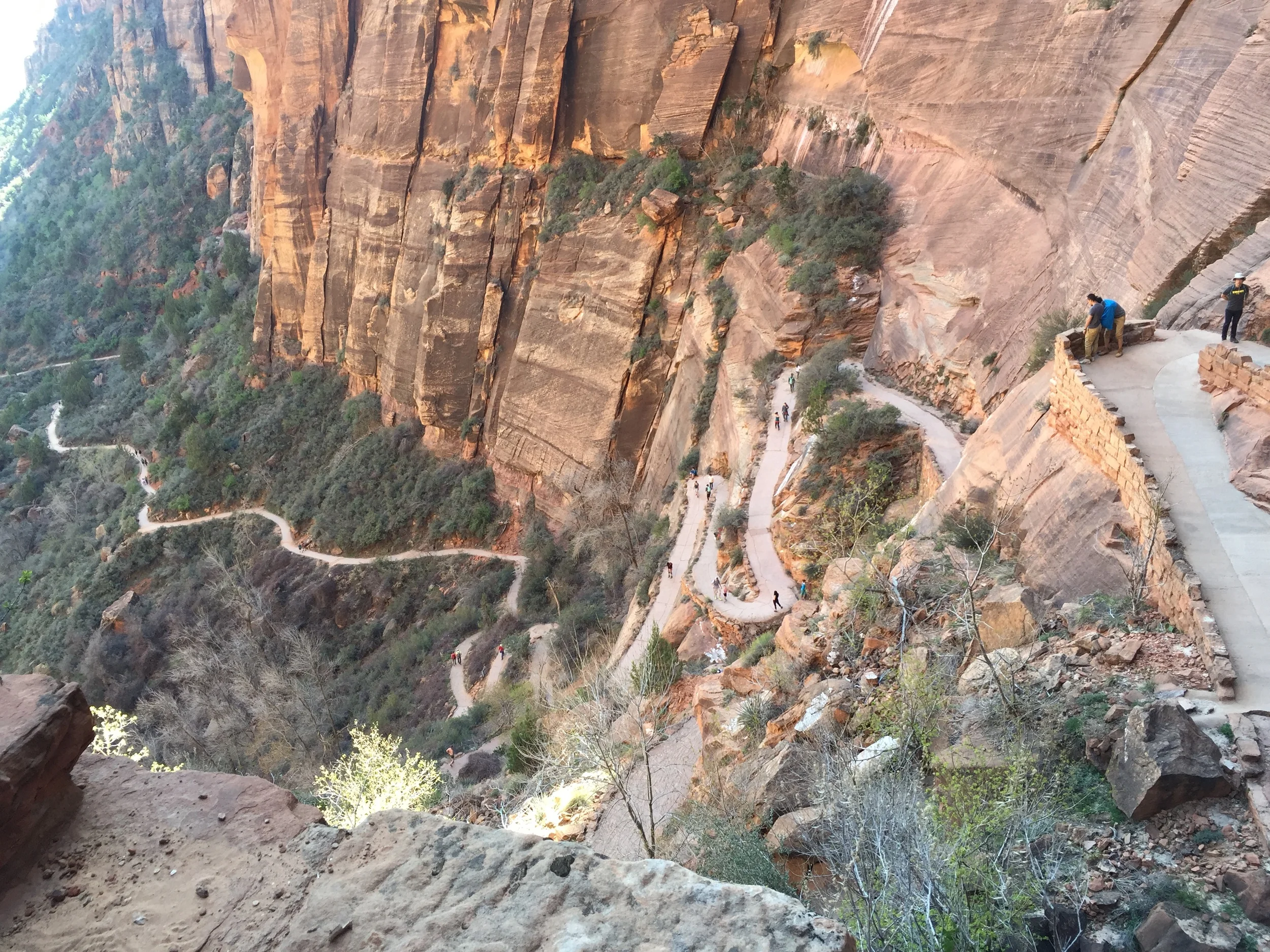 The trail to the top.