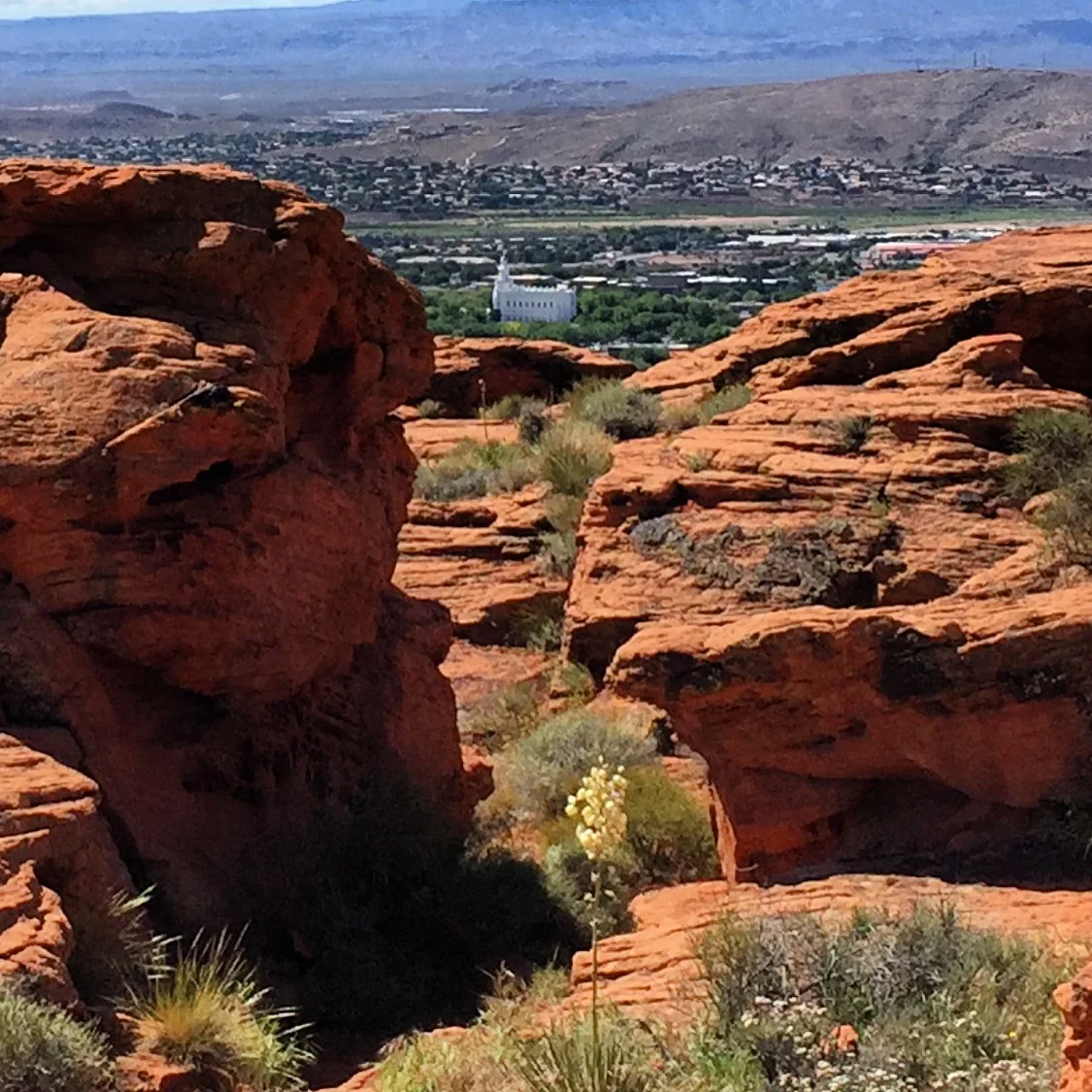 Temple from Dixie Rock.JPG