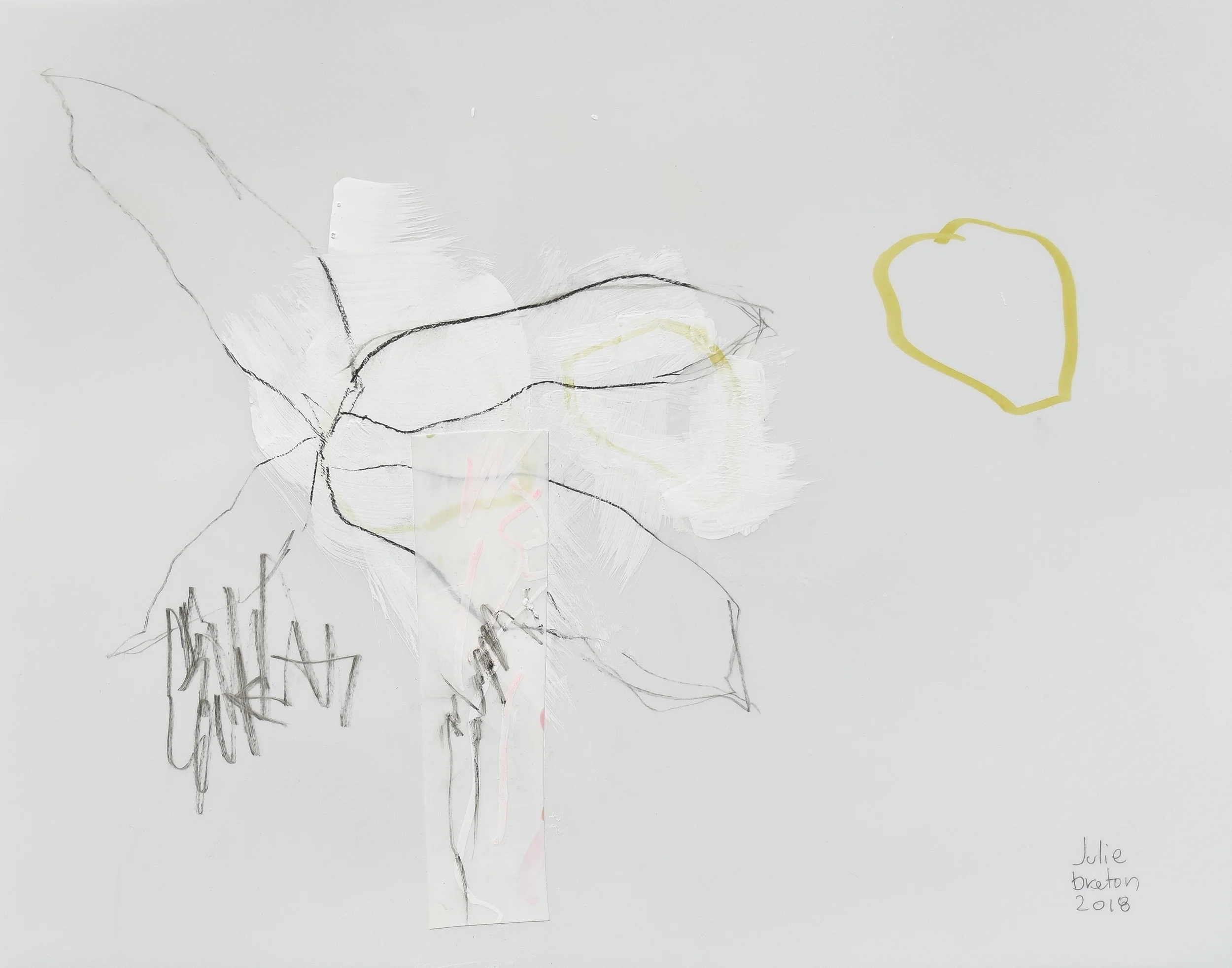 Minimal botanical drawing with graphite line work, white layered textures and soft yellow accents on translucent yupo paper.