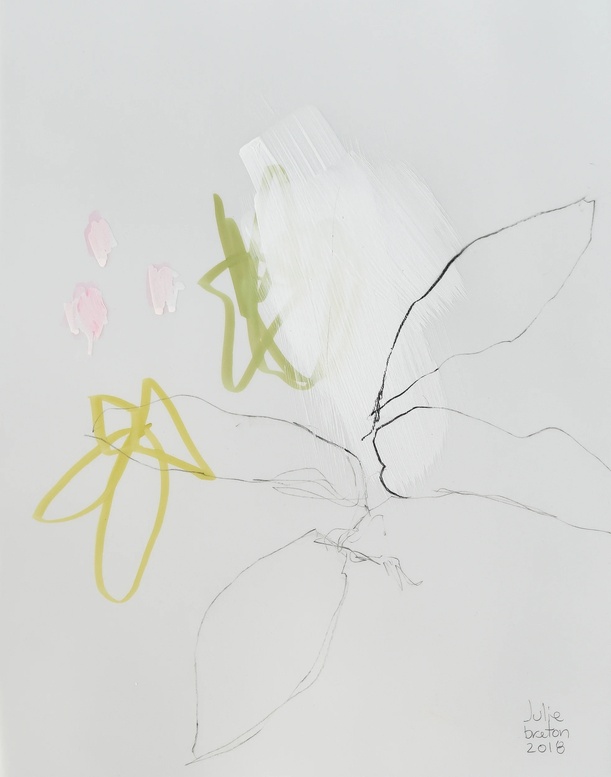 Minimal botanical drawing with soft grey leaves, pale pink accents and chartreuse line work on a light background.