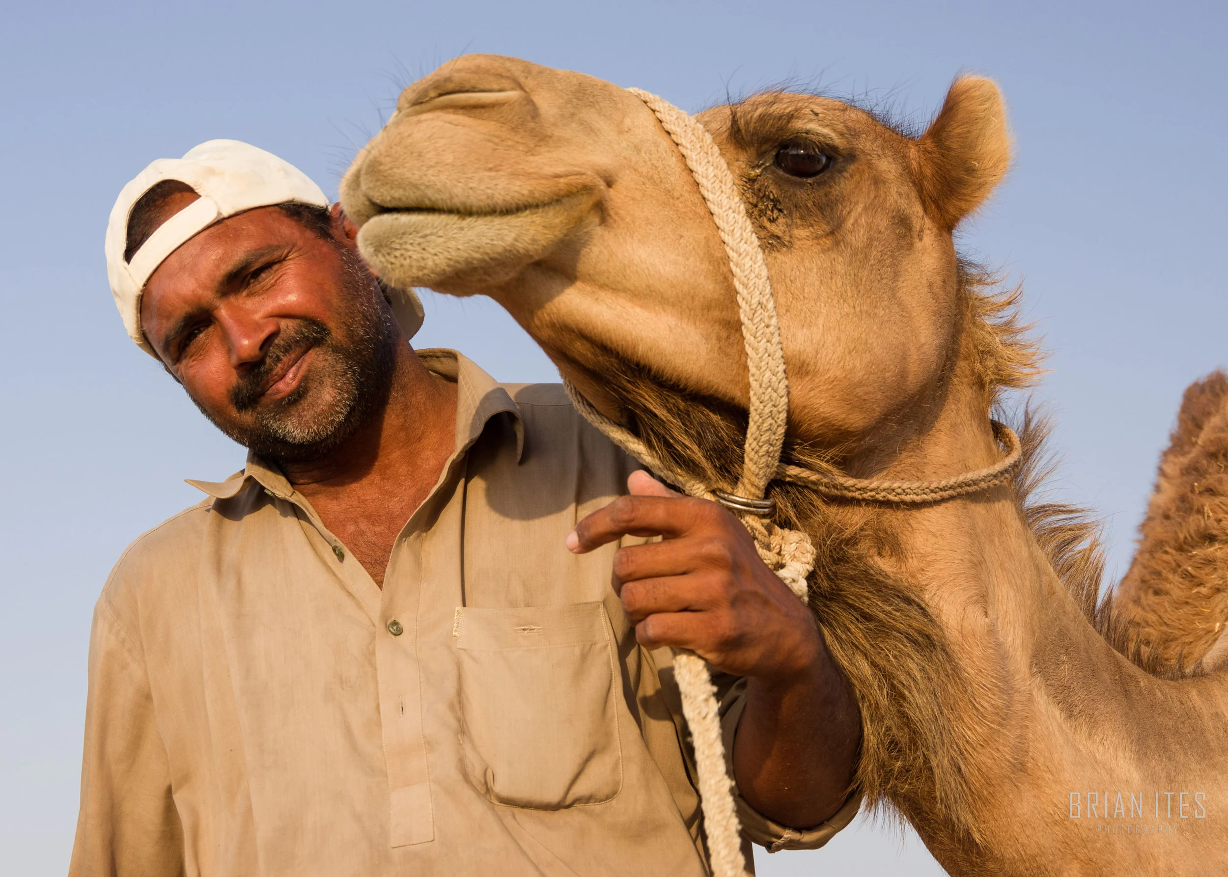 Abu Dhabi Camel wrangler
