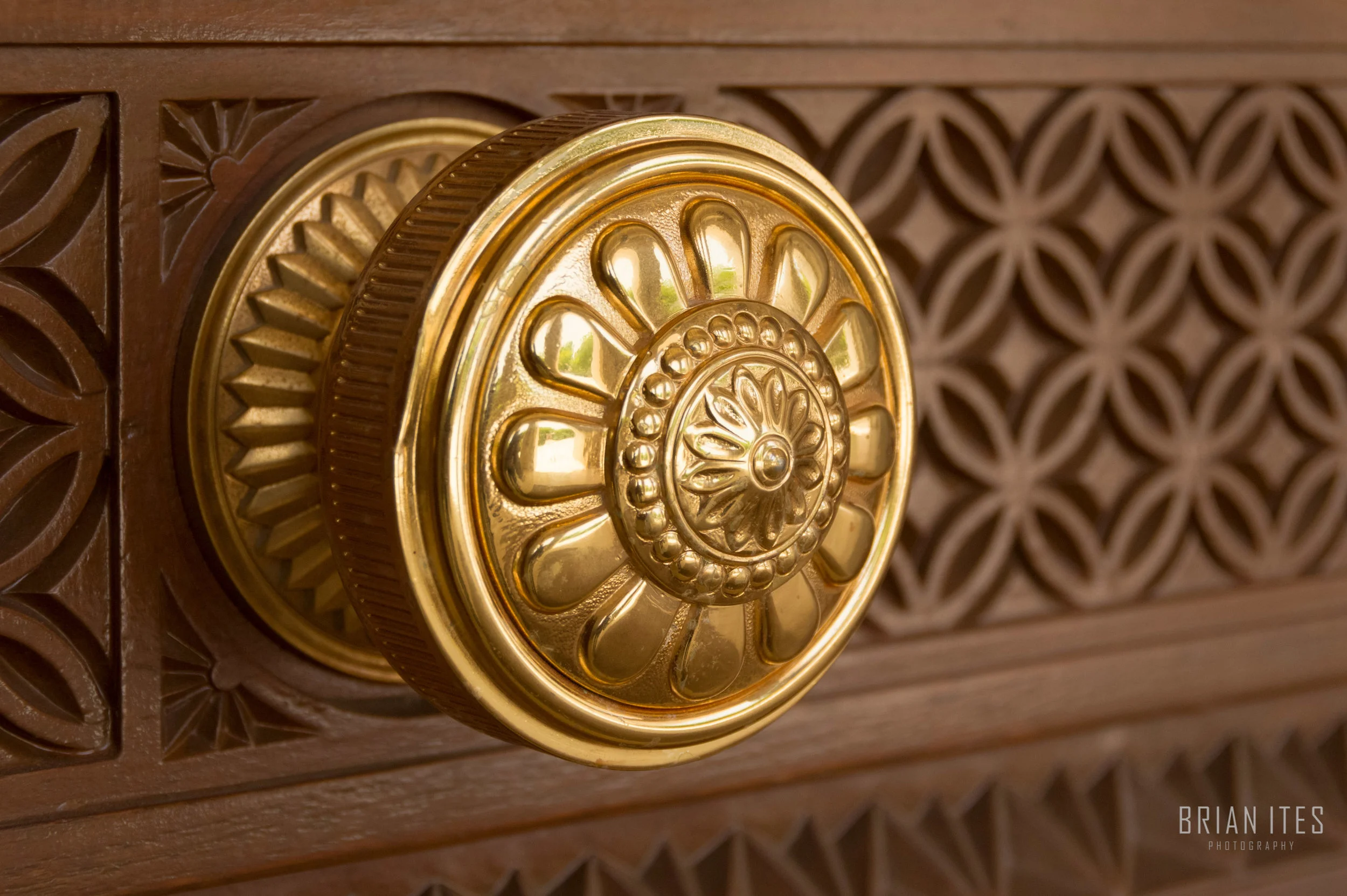 MiddleEast-5.16-BitesPhoto-4881.jpg