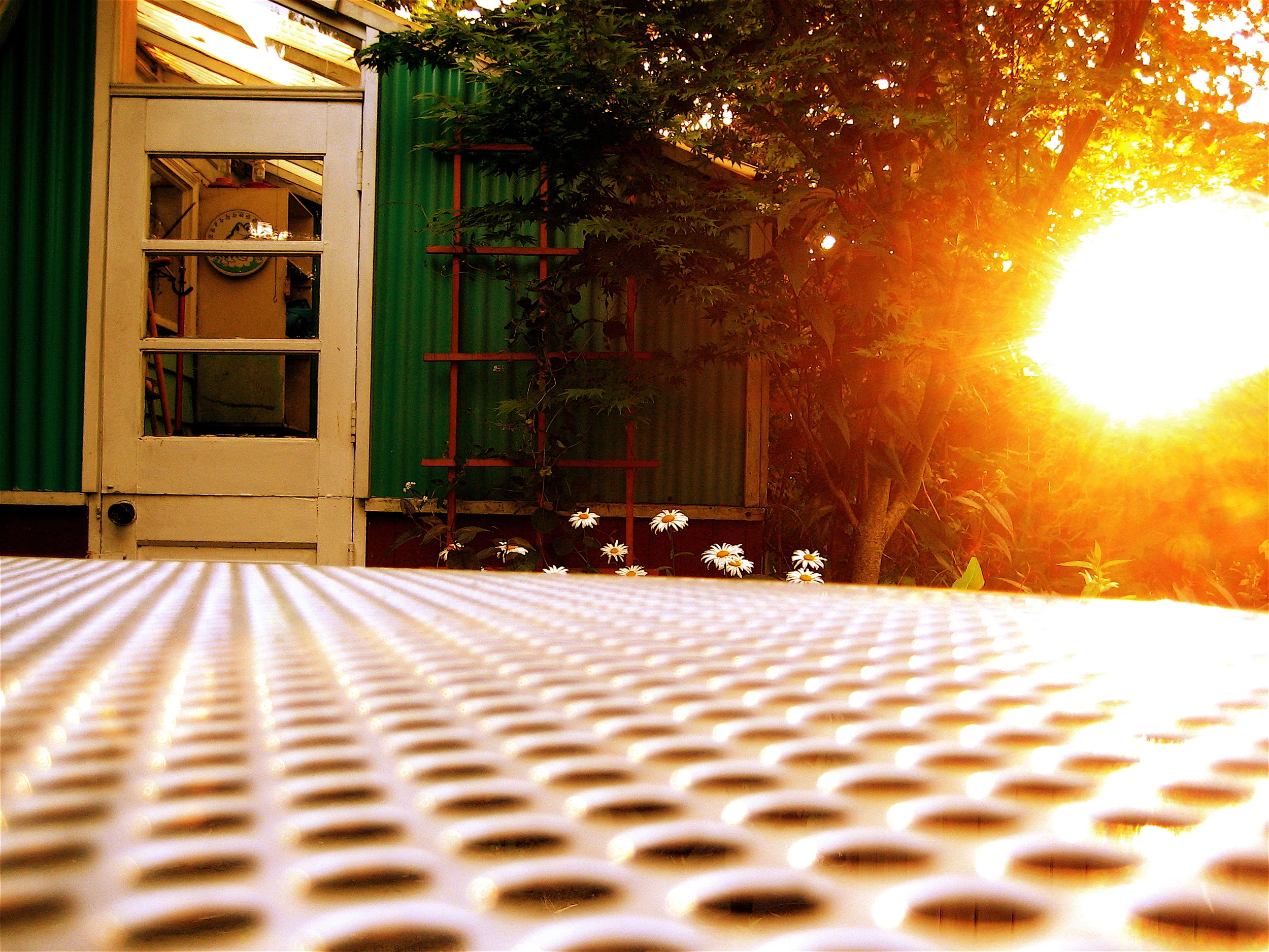 PRAY FOR A GOLDEN SUMMER.JPG