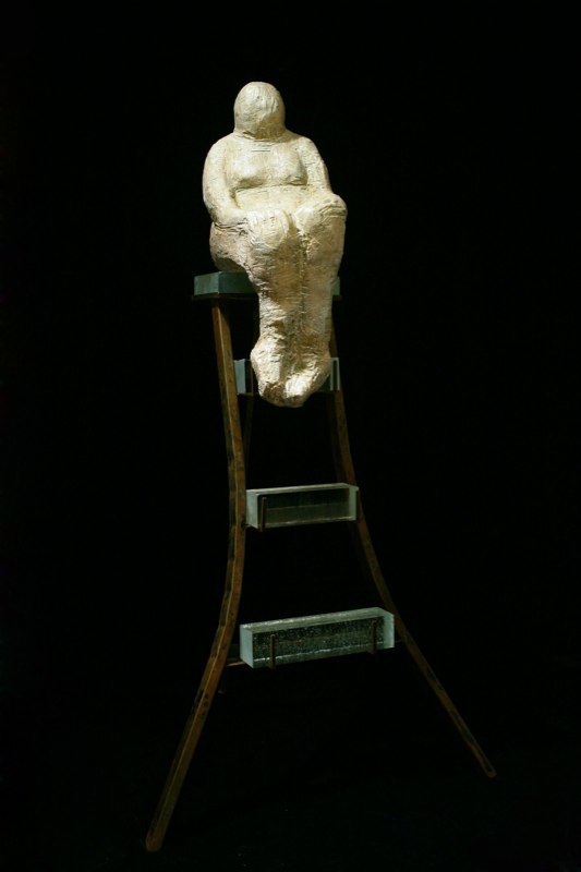 The Glass Ladder.jpg