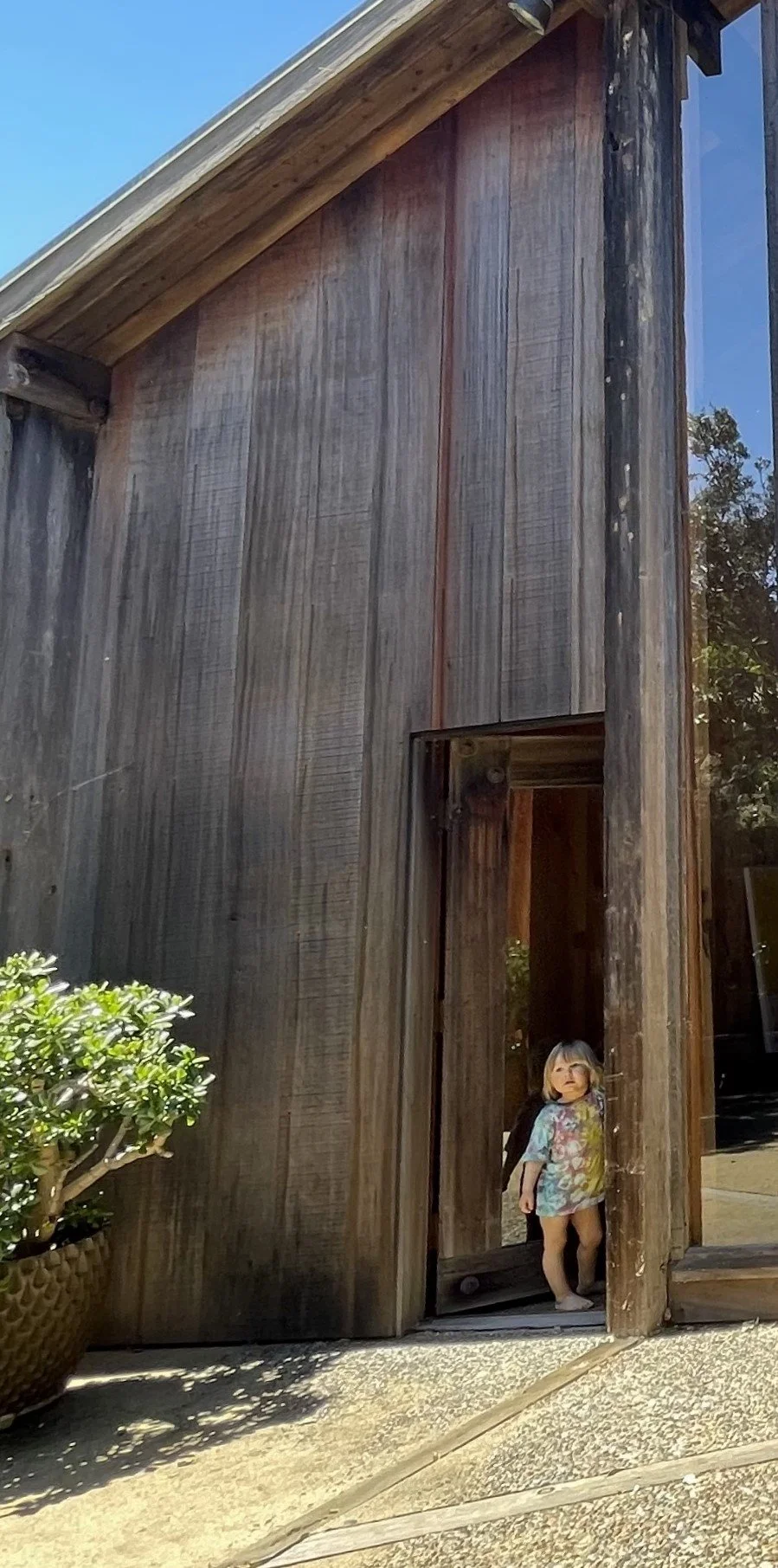 IMG_2508 adjusted.jpeg