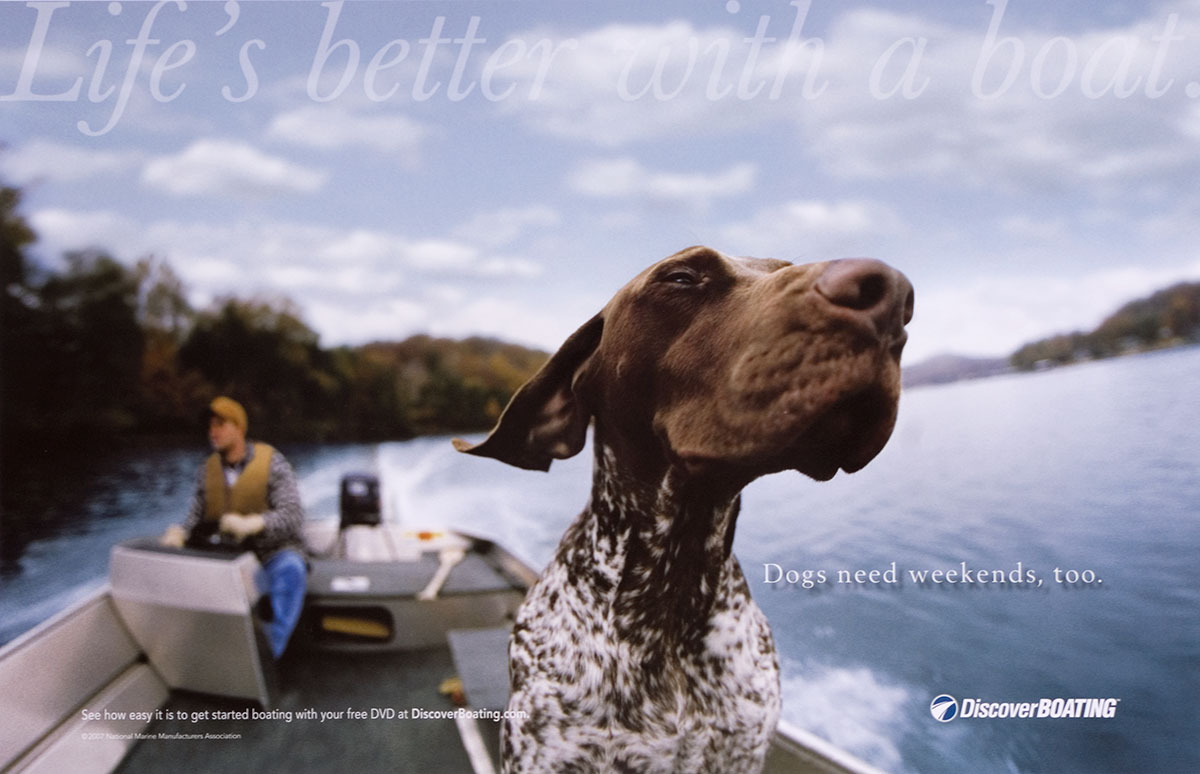 Dog-Boating.jpg