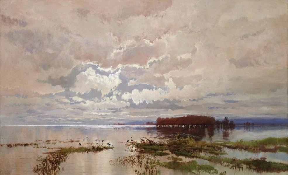 The Flood Of The Darling 1895