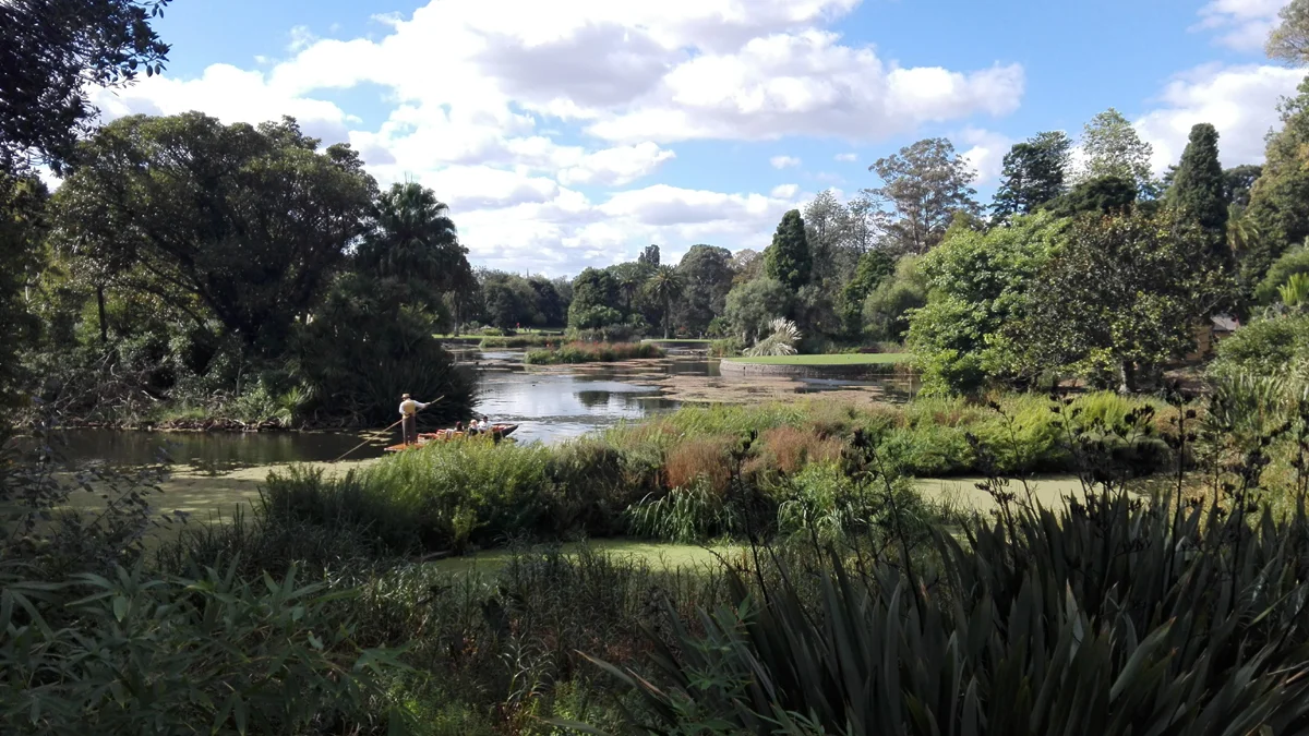 Botanic 16.jpg