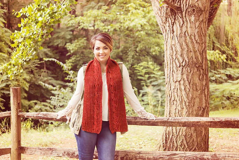 Image used with permission from SweetGeorgia Yarns
