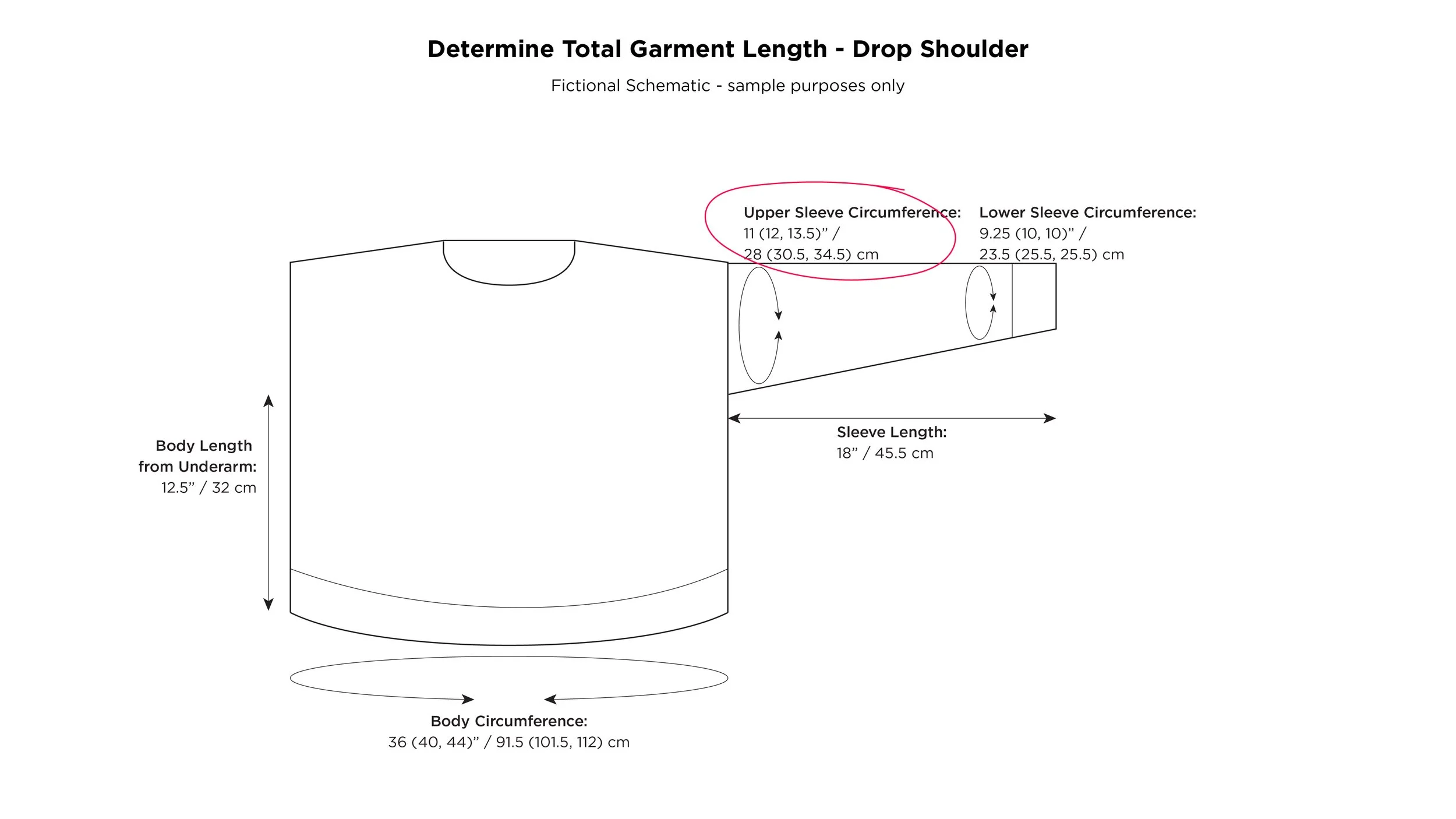 Comparing Heights vs. Body Lengths (you may be surprised!)