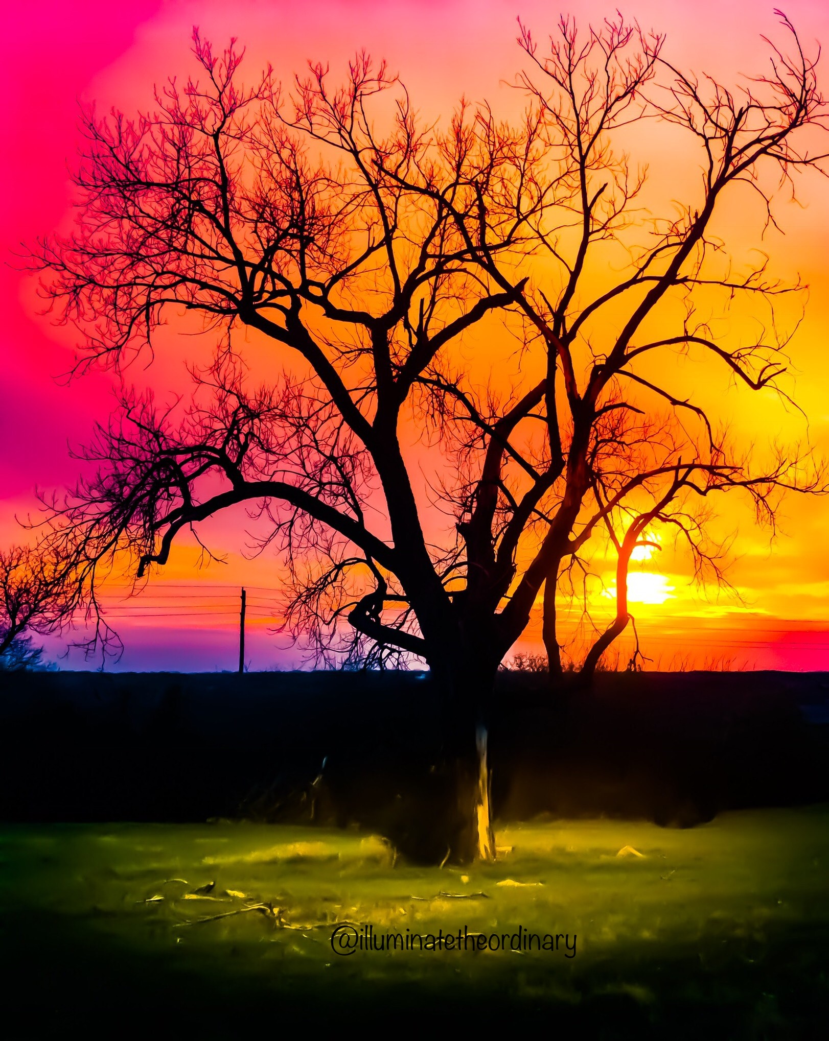 3B5E1160-CC4A-4A0D-9DC1-5172F17B8D6C.jpeg