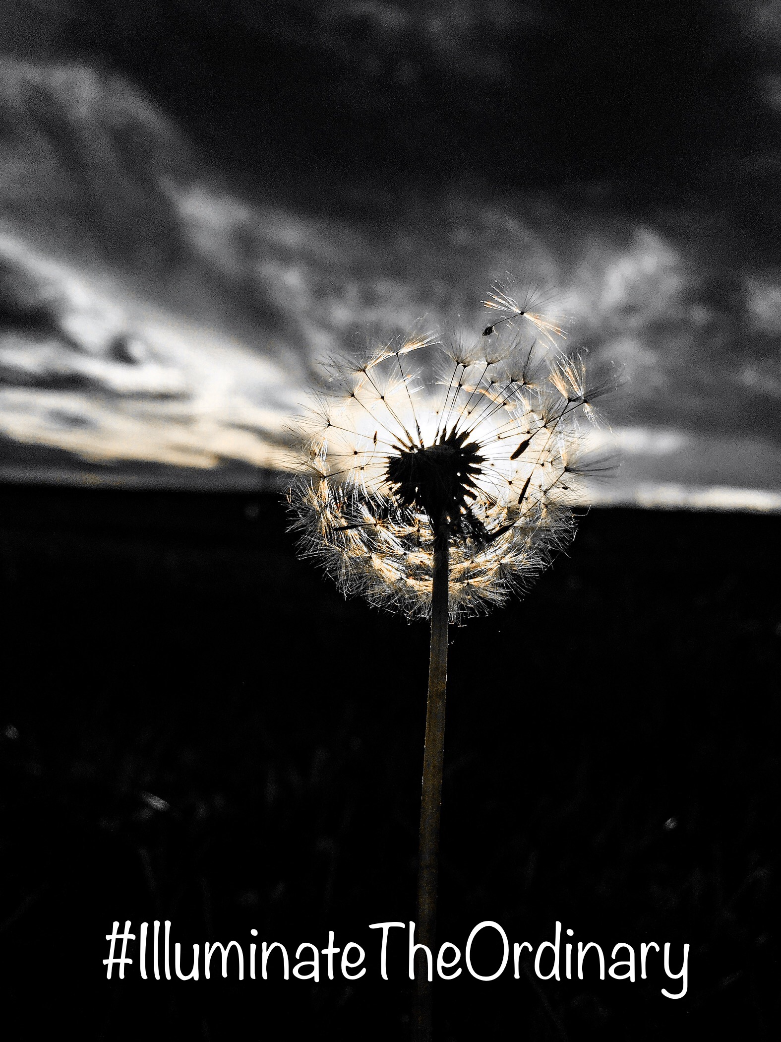 239D421C-A531-49CF-8AE0-3D5807F83DD4.jpeg