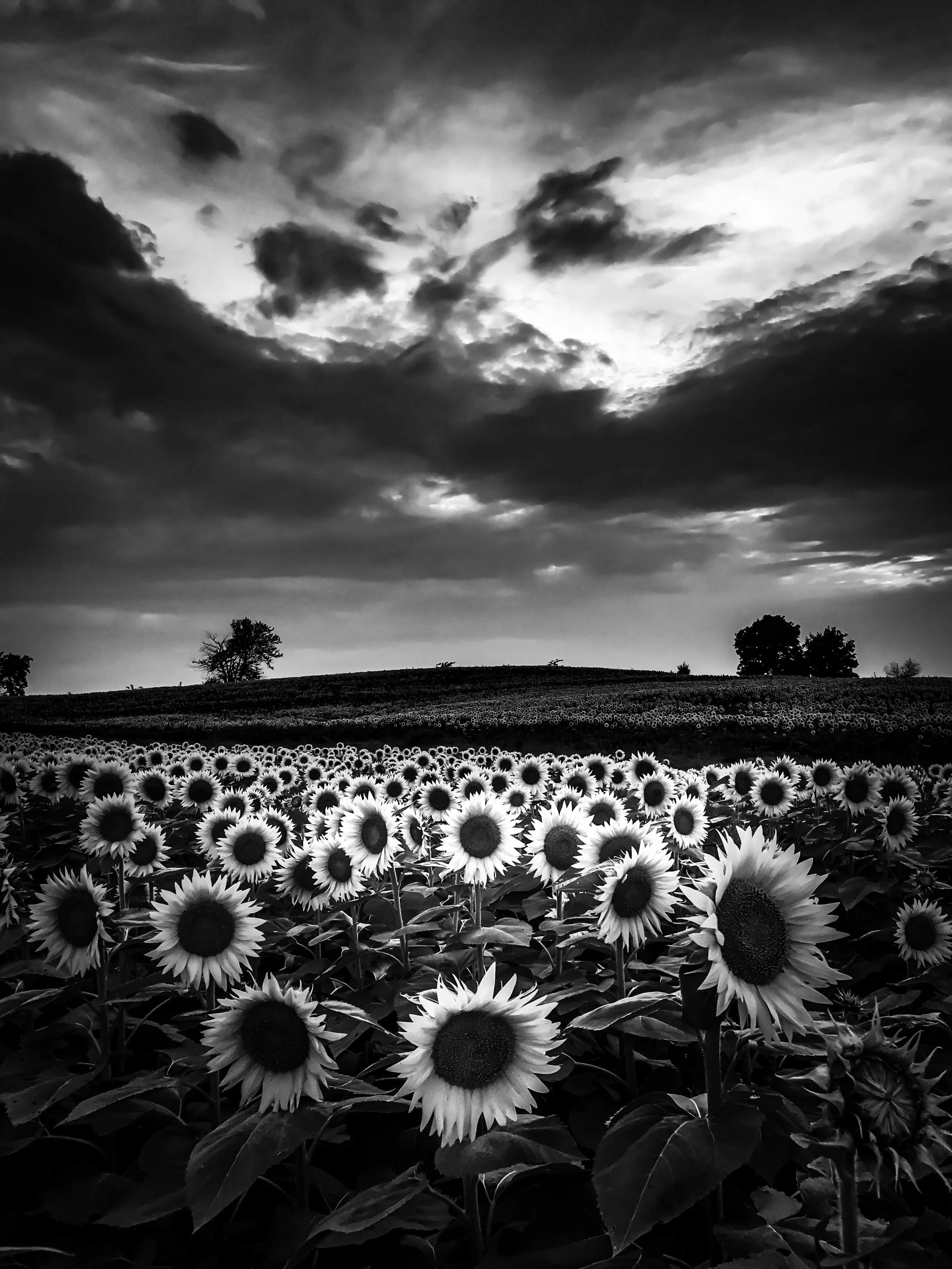 151BC1AB-FE06-4D20-8DFD-9CC568441173.jpeg
