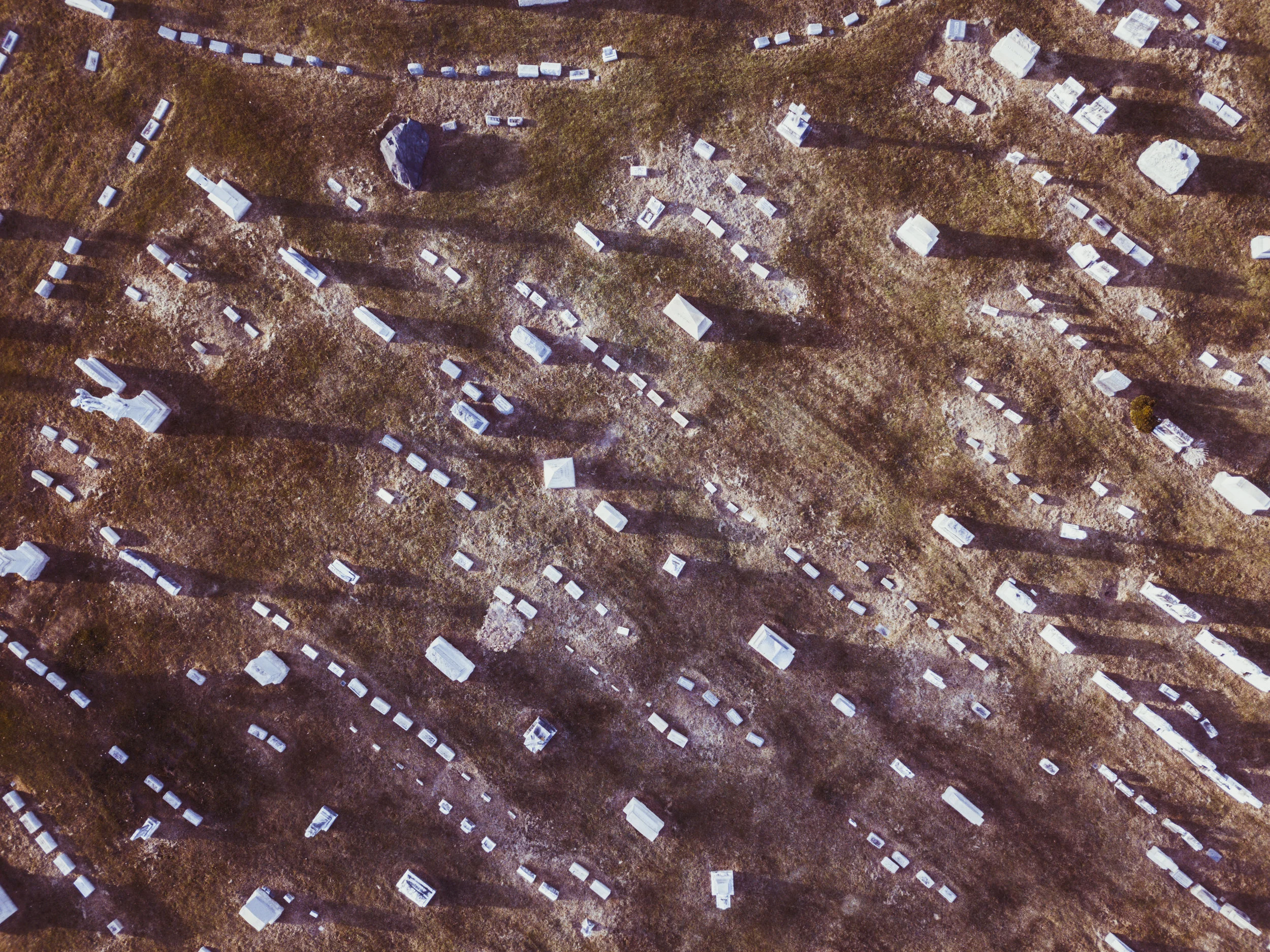 DJI_0183.jpg