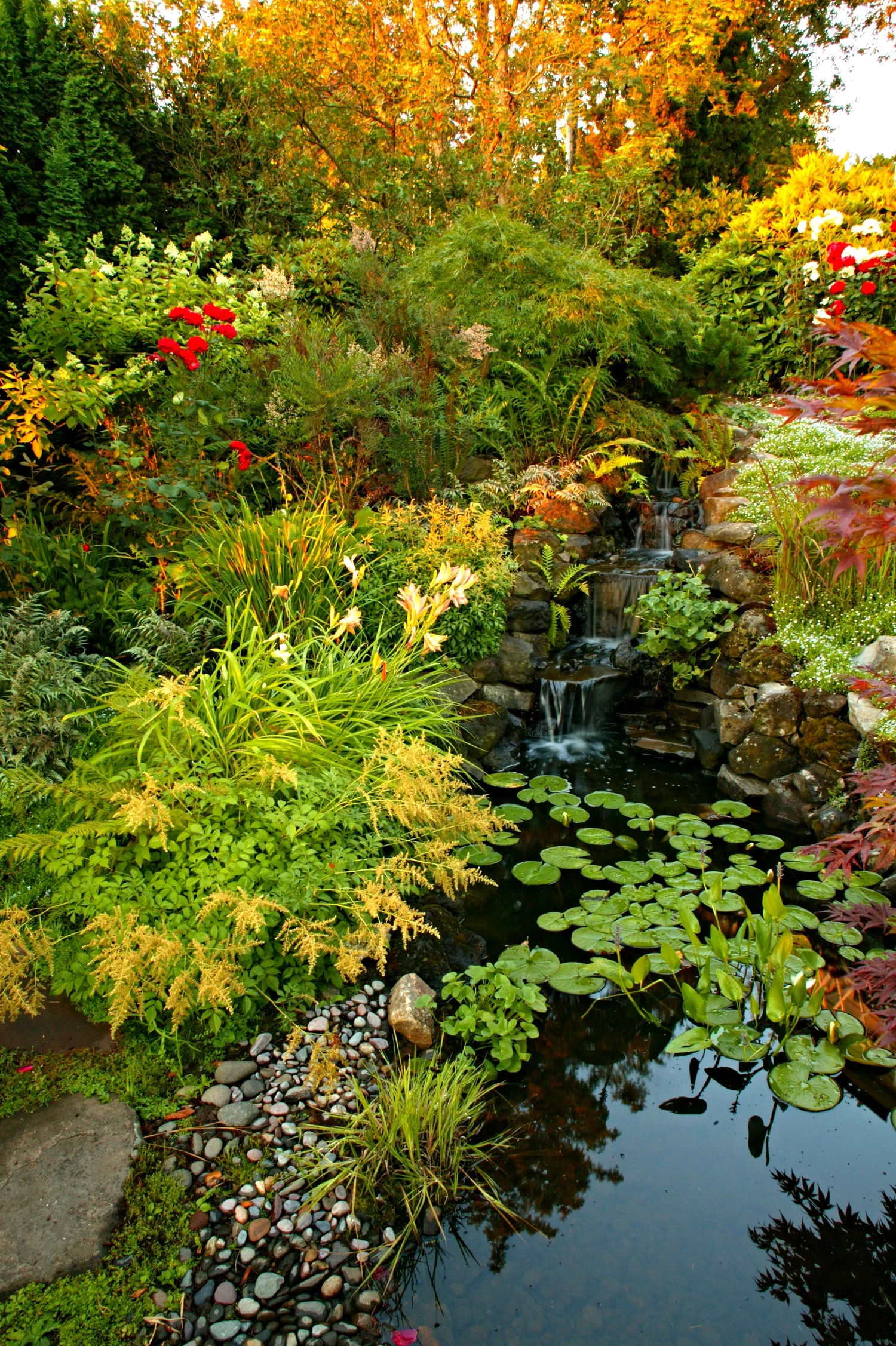 1Ds sandy 7.23.0342.JPG