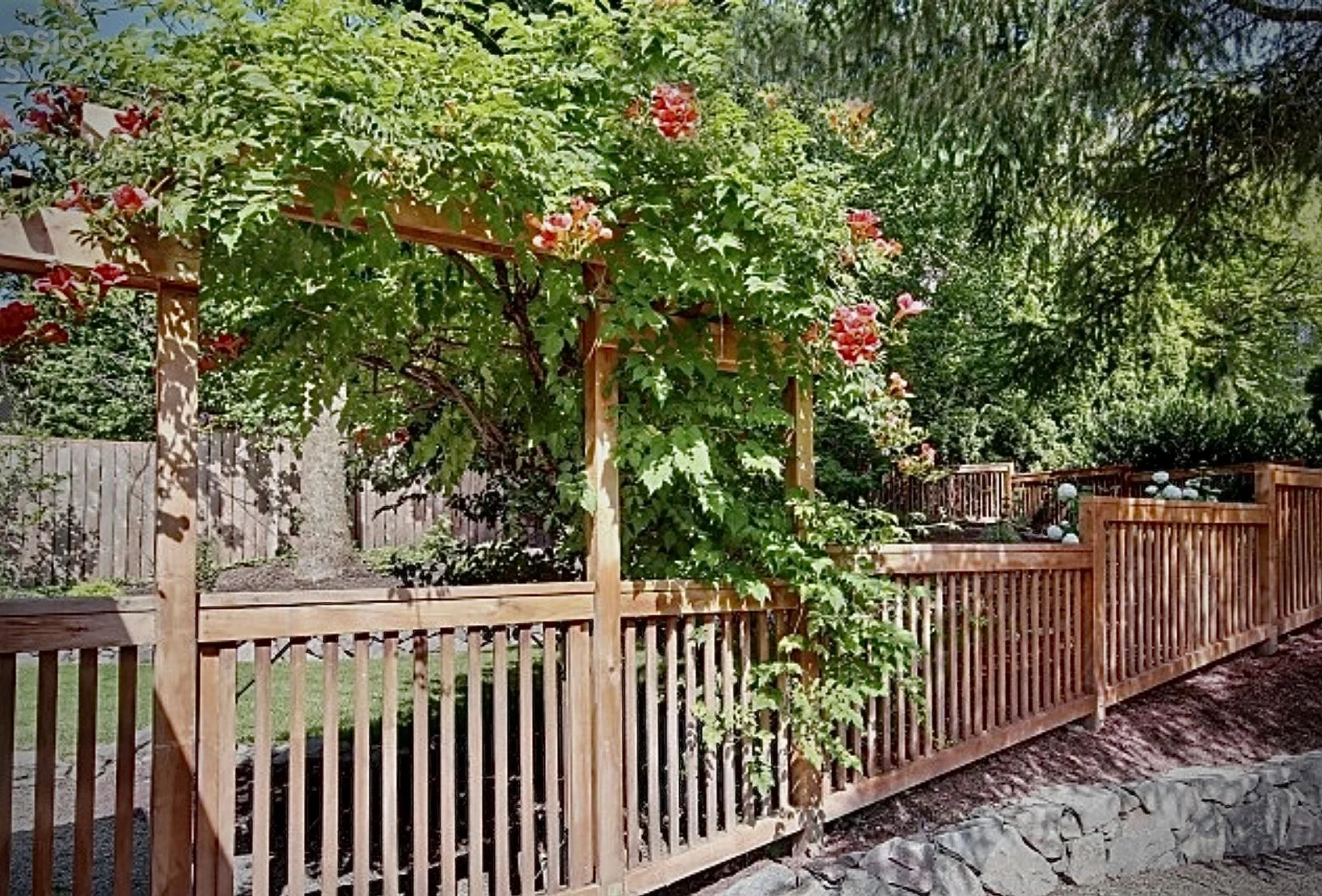 Cedar Fence with Arbor Gate