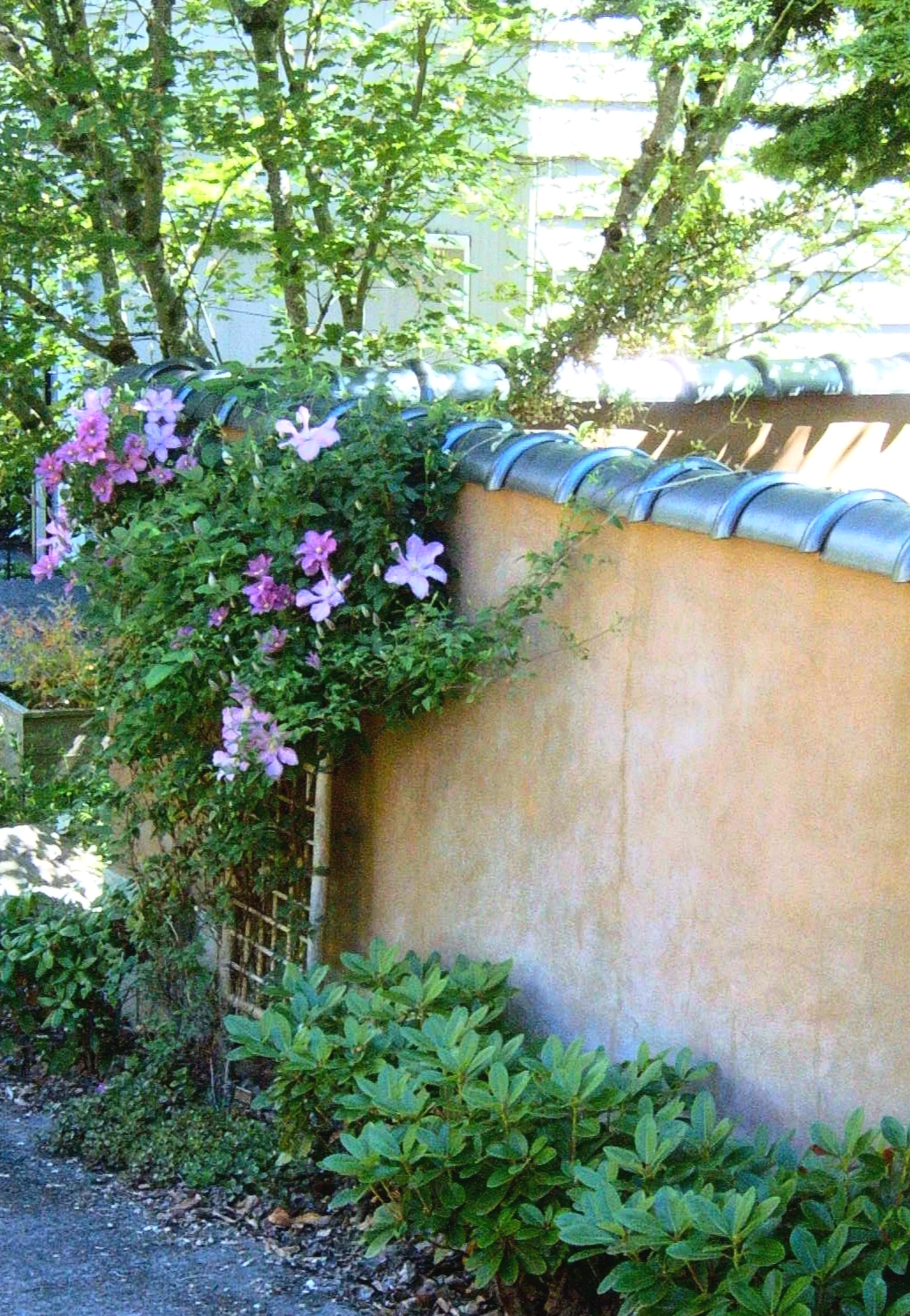 Garden Wall