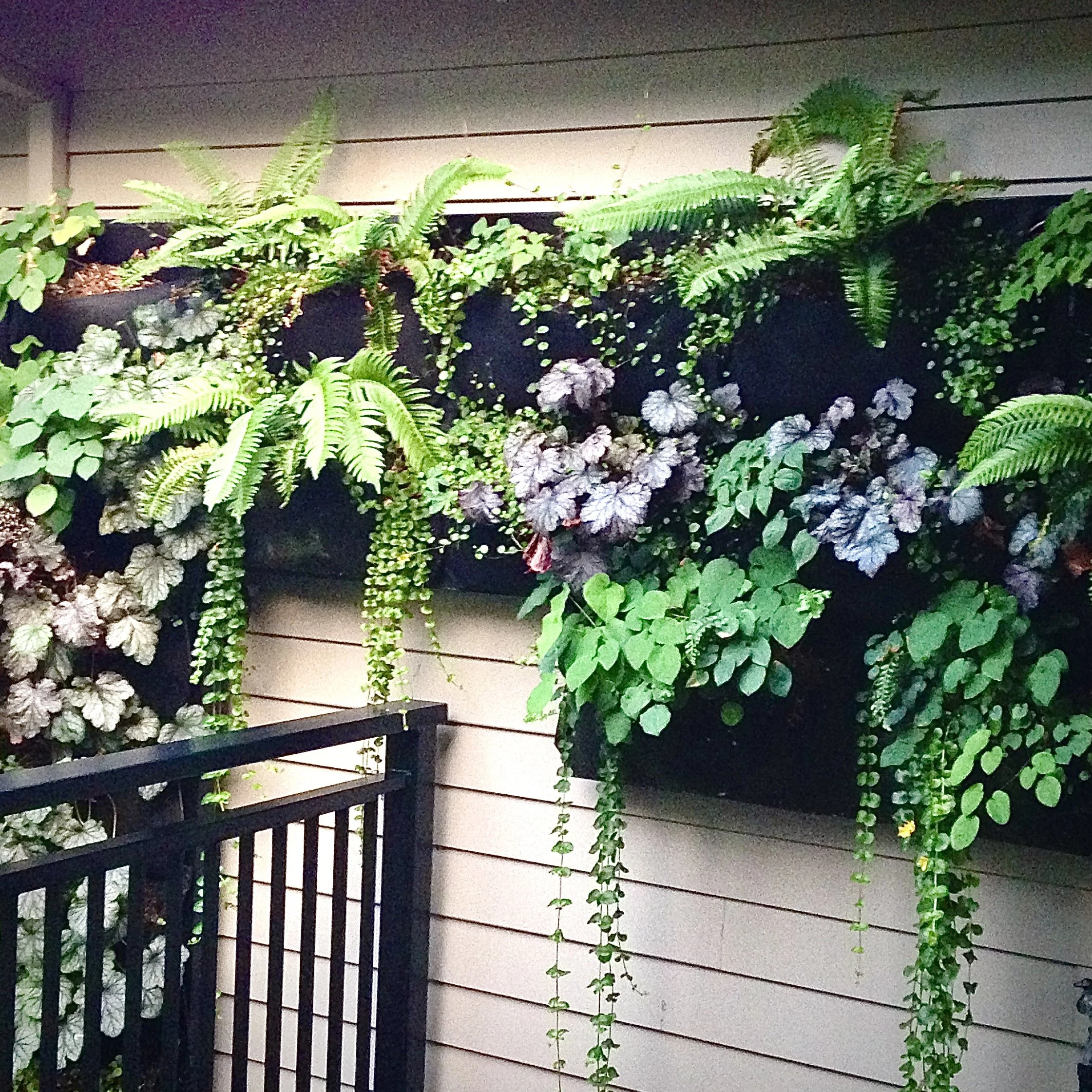 Shade Garden Wall