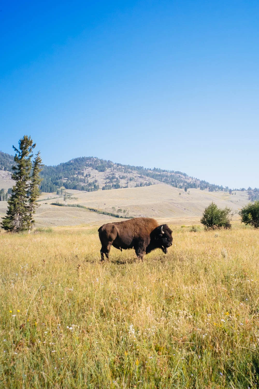 Montana_2014_0919.jpg