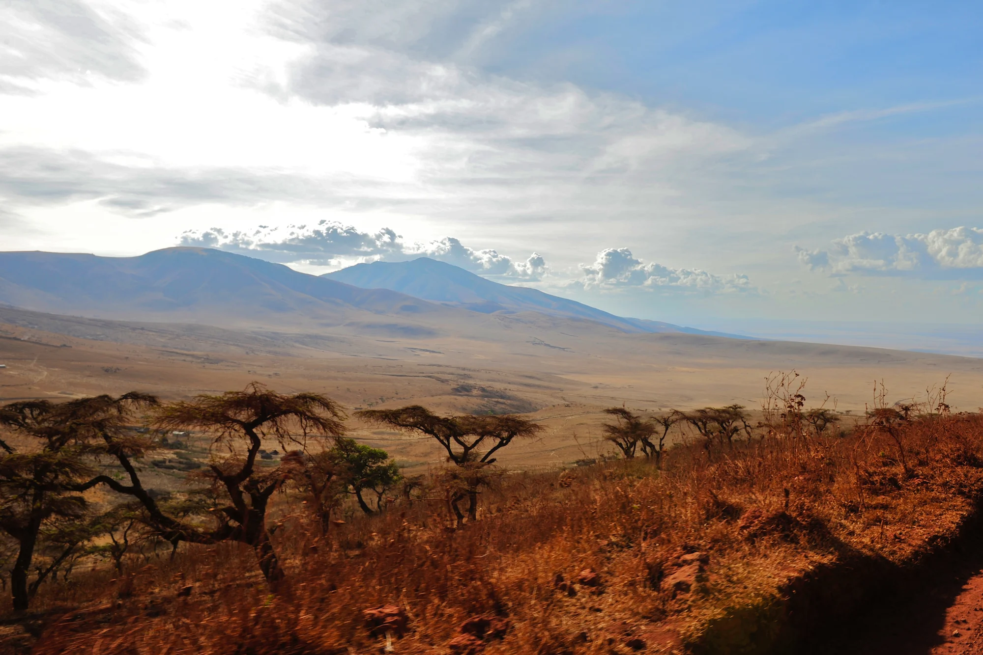 Ngorongoro_140 - Version 2.jpg