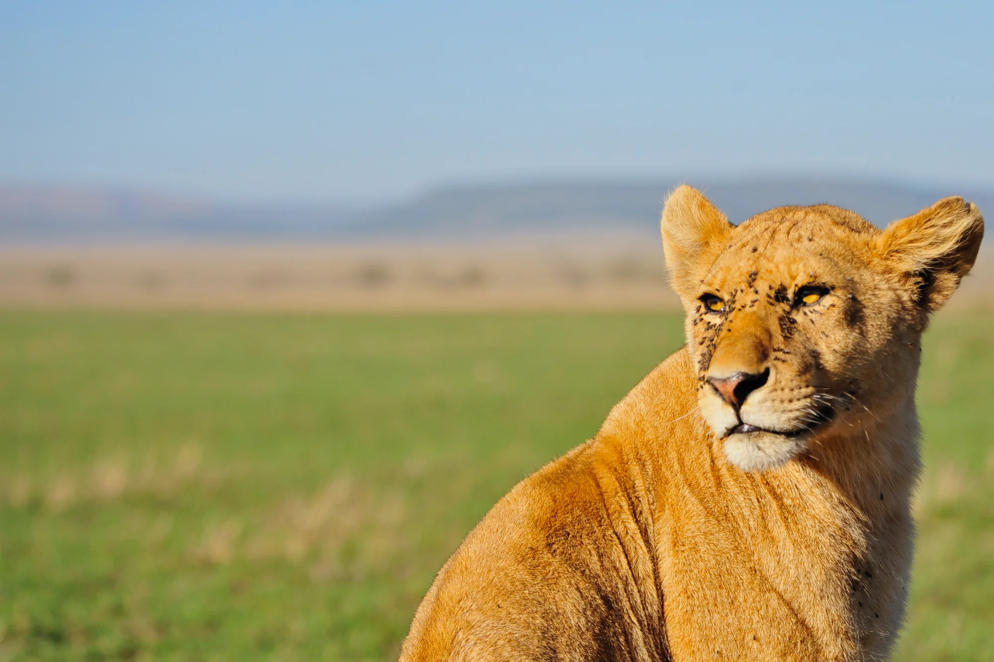 Serengeti_191.jpg
