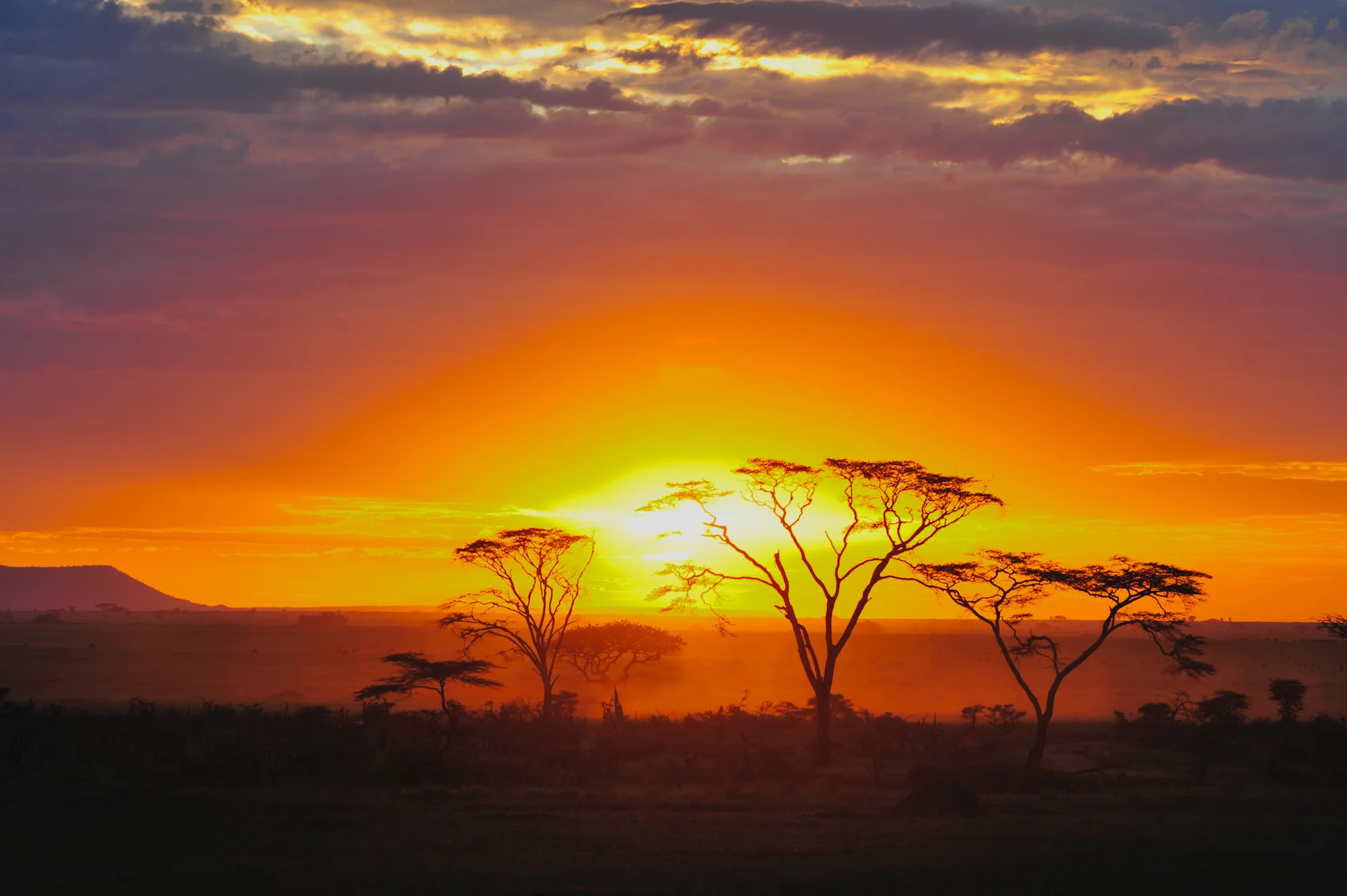 Serengeti_479.jpg